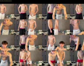 walterback — 17 minute Chaturbate male cam show recording, 720p, Nov 29, 2024
