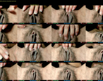 aedanjustine — 8 minute Chaturbate couple cam show recording, 720p, Nov 30, 2024