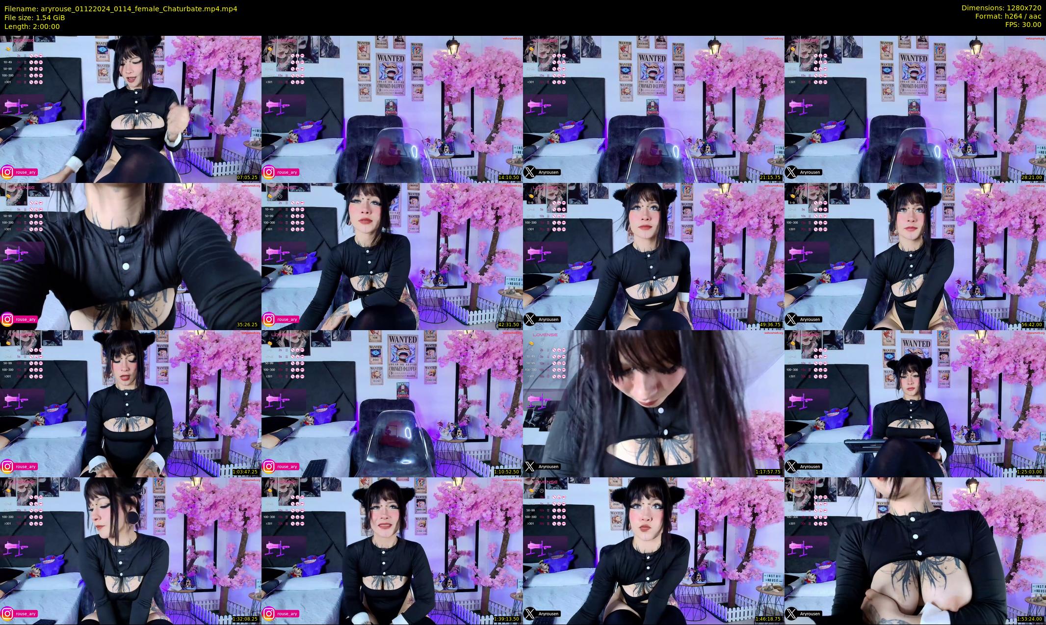 aryrouse — 120 minute Chaturbate female cam show recording, 720p, Dec 1, 2024