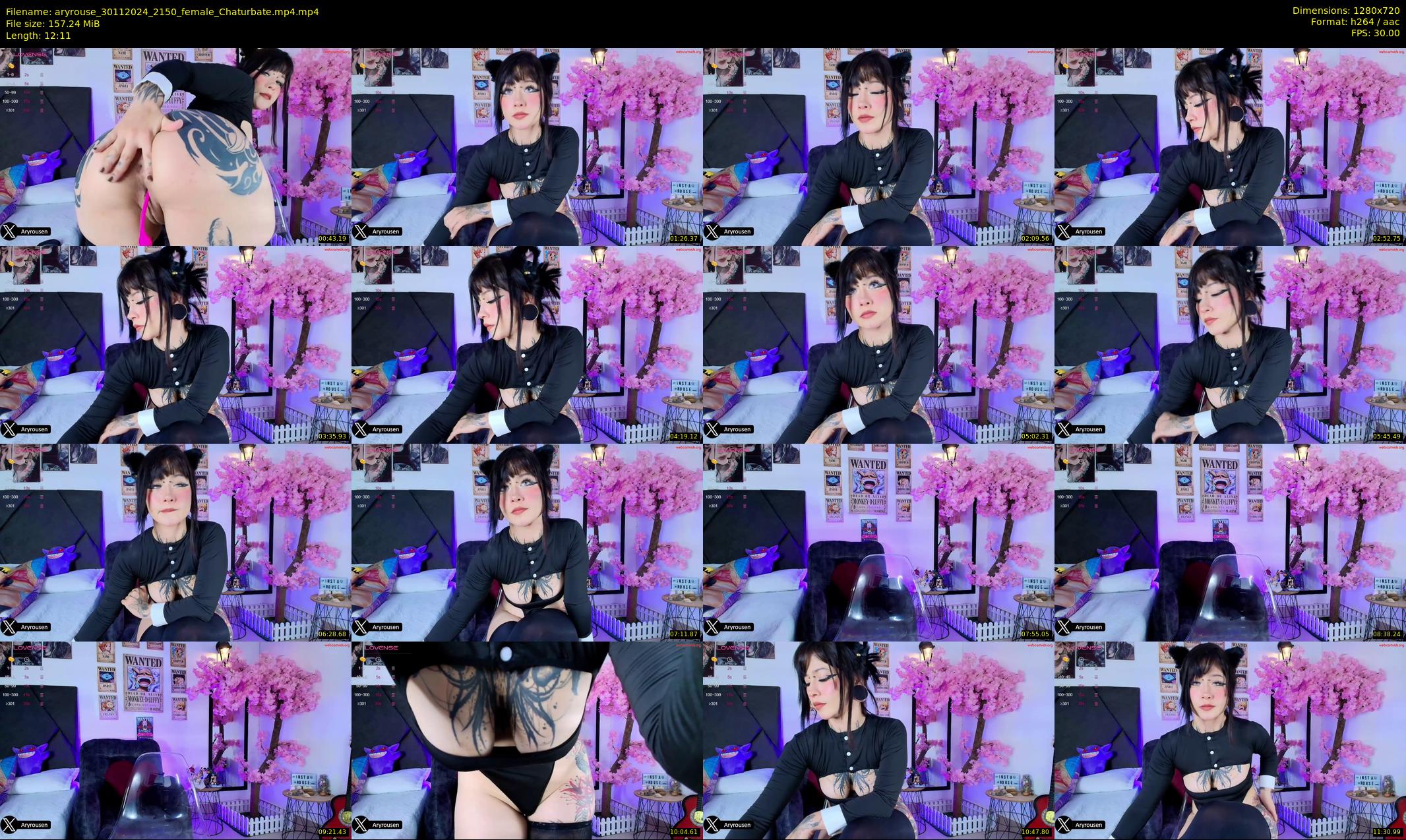 aryrouse — 13 minute Chaturbate female cam show recording, 720p, Nov 30, 2024