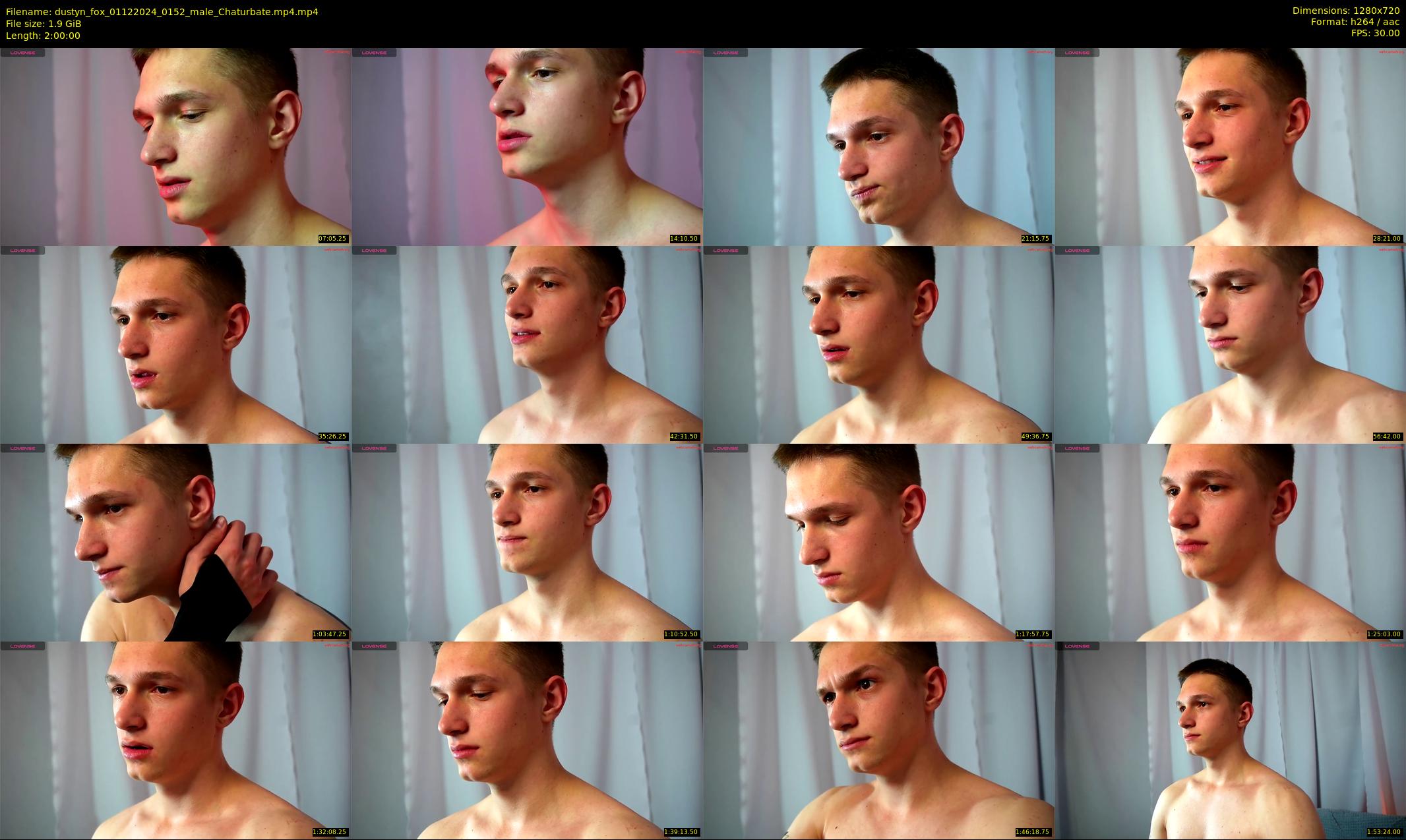 dustyn_fox — 120 minute Chaturbate male cam show recording, 720p, Dec 1, 2024
