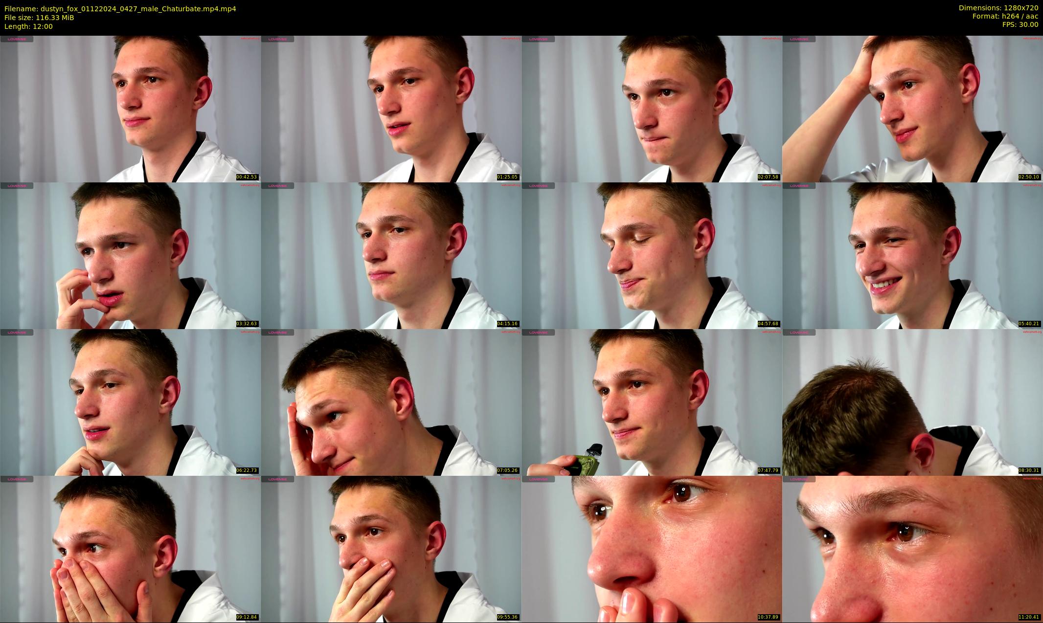 dustyn_fox — 12 minute Chaturbate male cam show recording, 720p, Dec 1, 2024