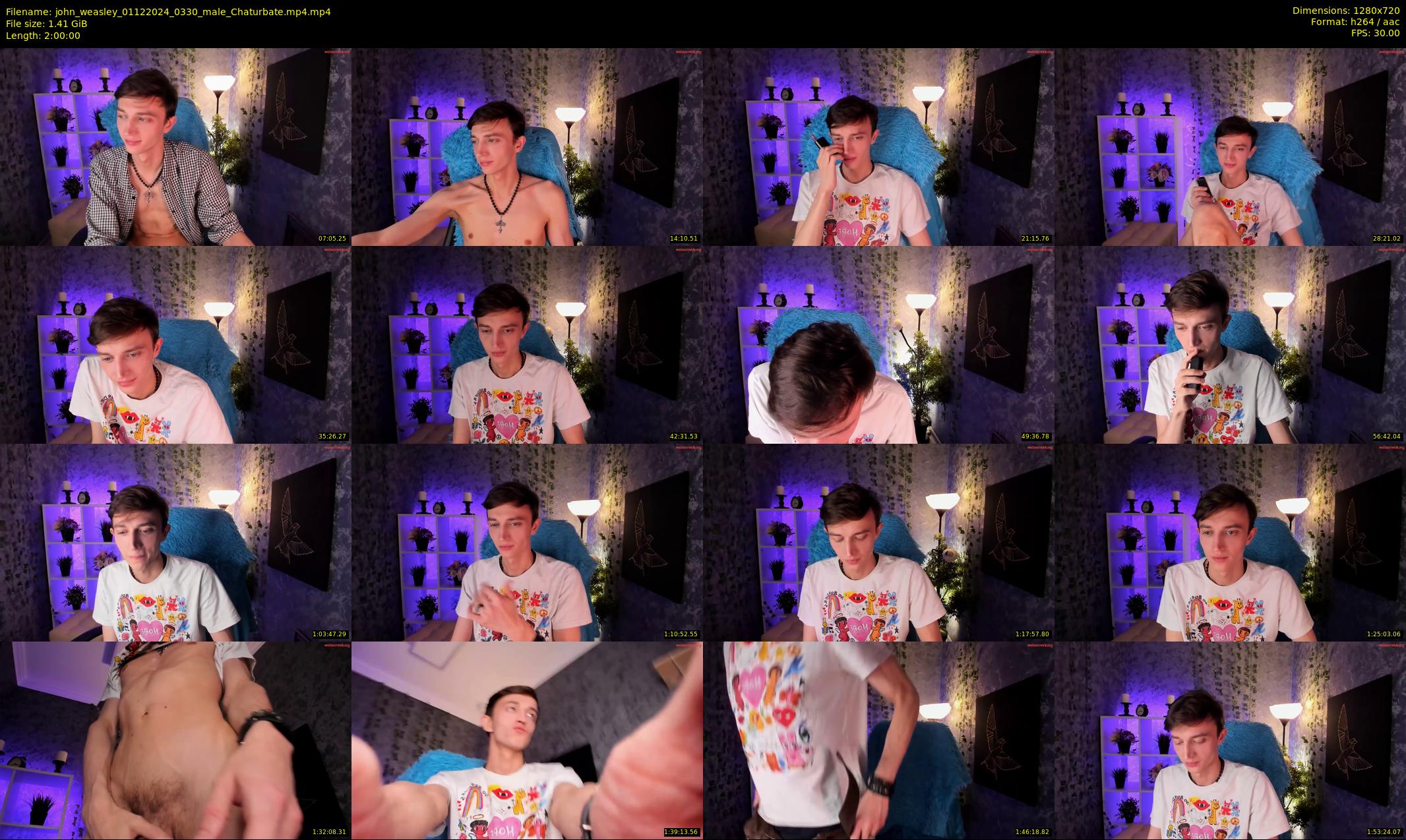 john_weasley — 120 minute Chaturbate male cam show recording, 720p, Dec 1, 2024