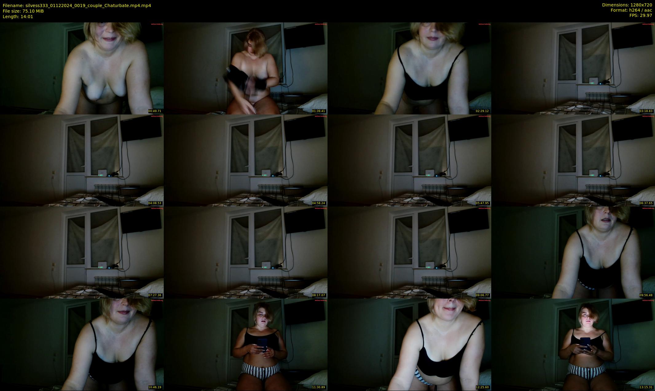 silvess333 — 15 minute Chaturbate female cam show recording, 720p, Dec 1, 2024