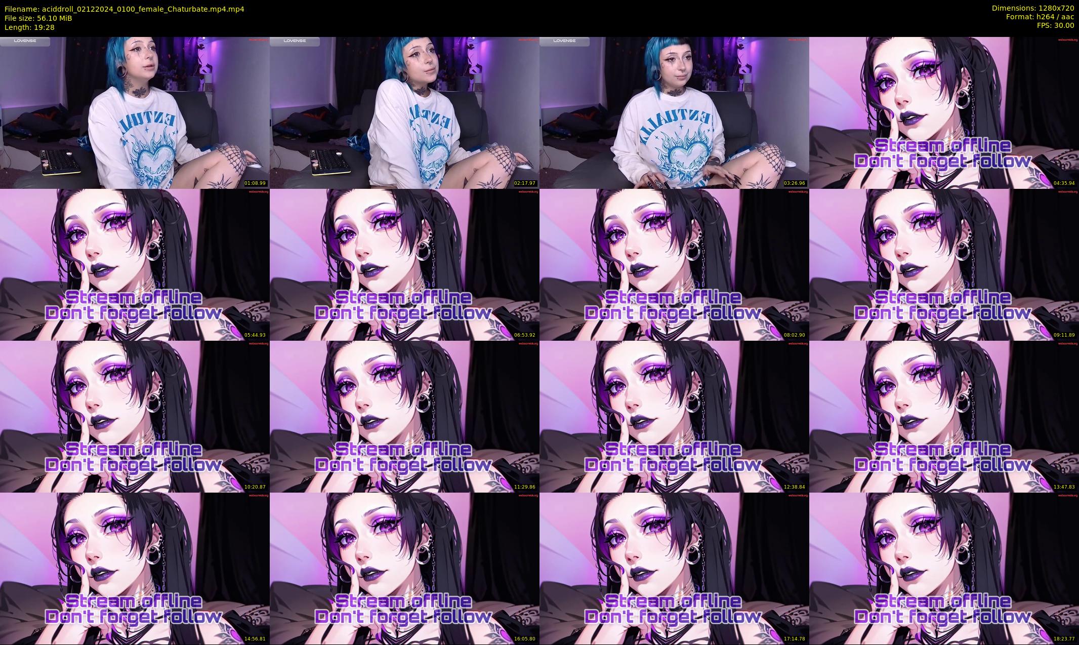 aciddroll — 20 minute Chaturbate female cam show recording, 720p, Dec 2, 2024