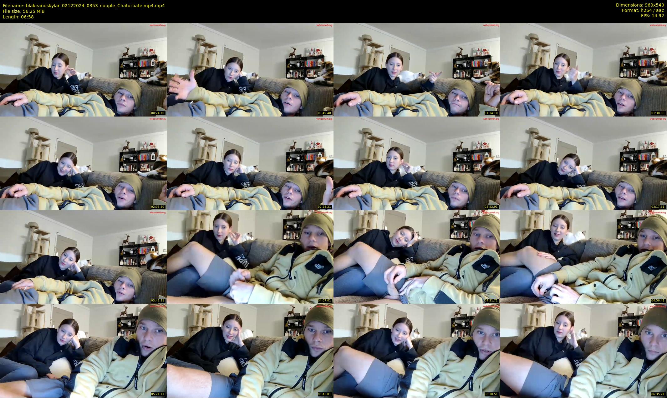 blakeandskylar — 7 minute Chaturbate couple cam show recording, 480p, Dec 2, 2024