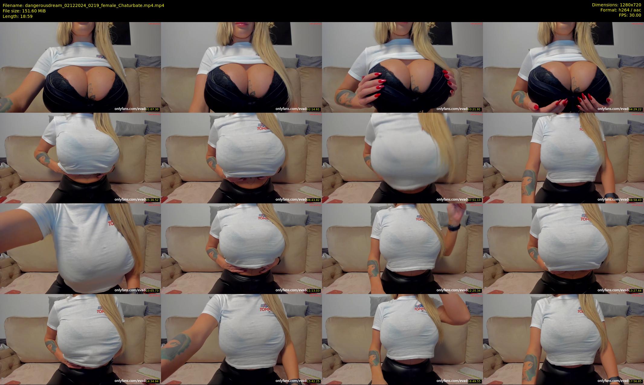 dangerousdream — 19 minute Chaturbate couple cam show recording, 720p, Dec 2, 2024