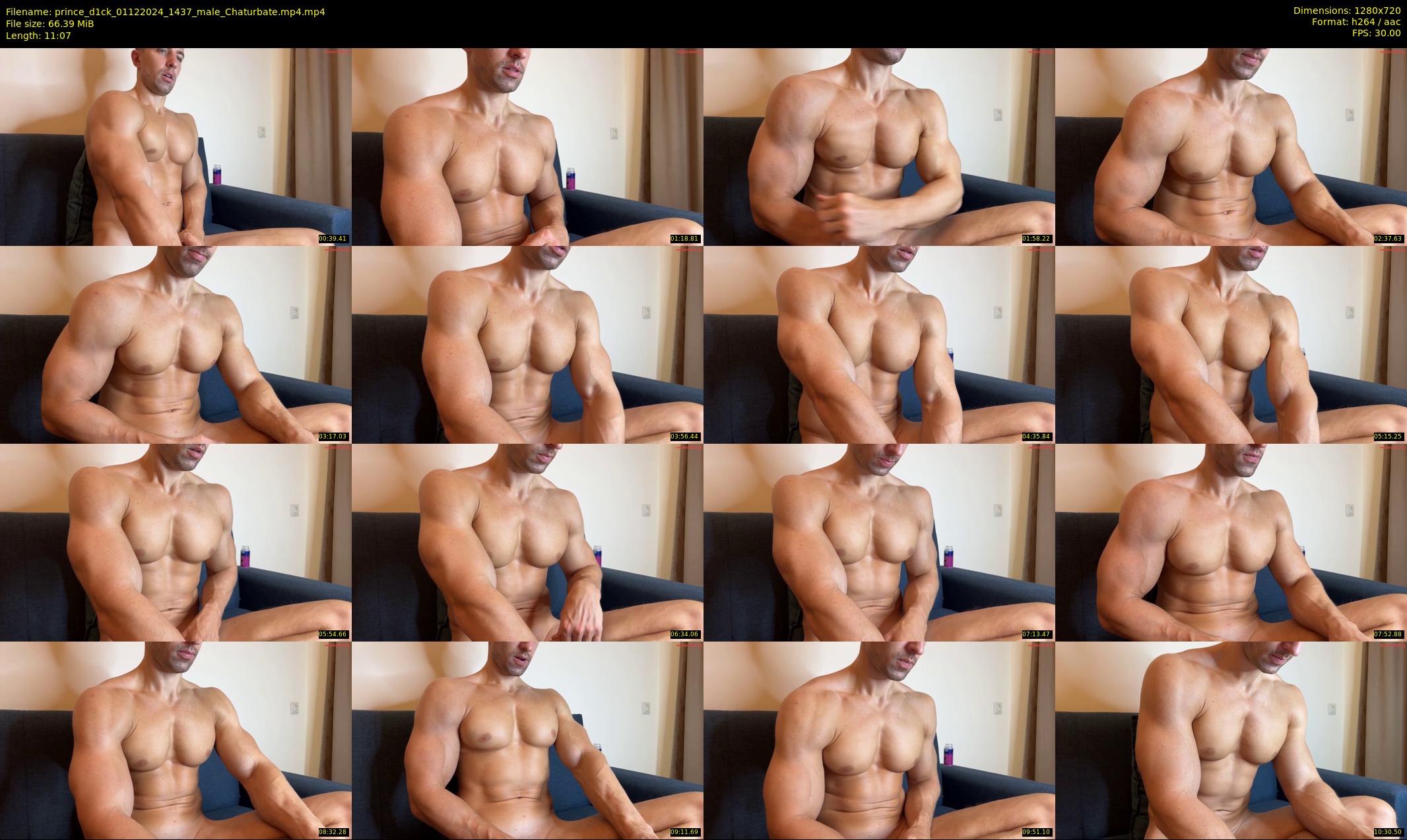 prince_d1ck — 12 minute Chaturbate male cam show recording, 720p, Dec 1, 2024