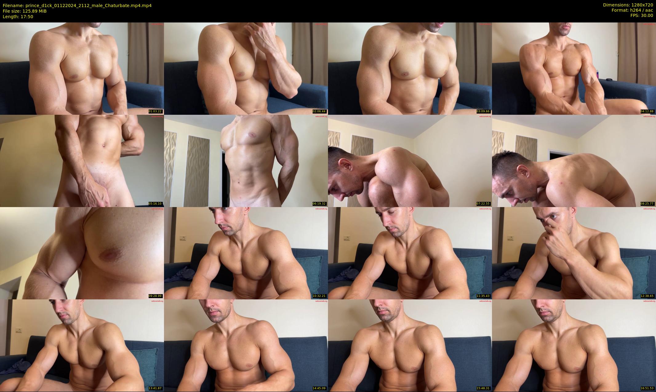 prince_d1ck — 18 minute Chaturbate male cam show recording, 720p, Dec 1, 2024