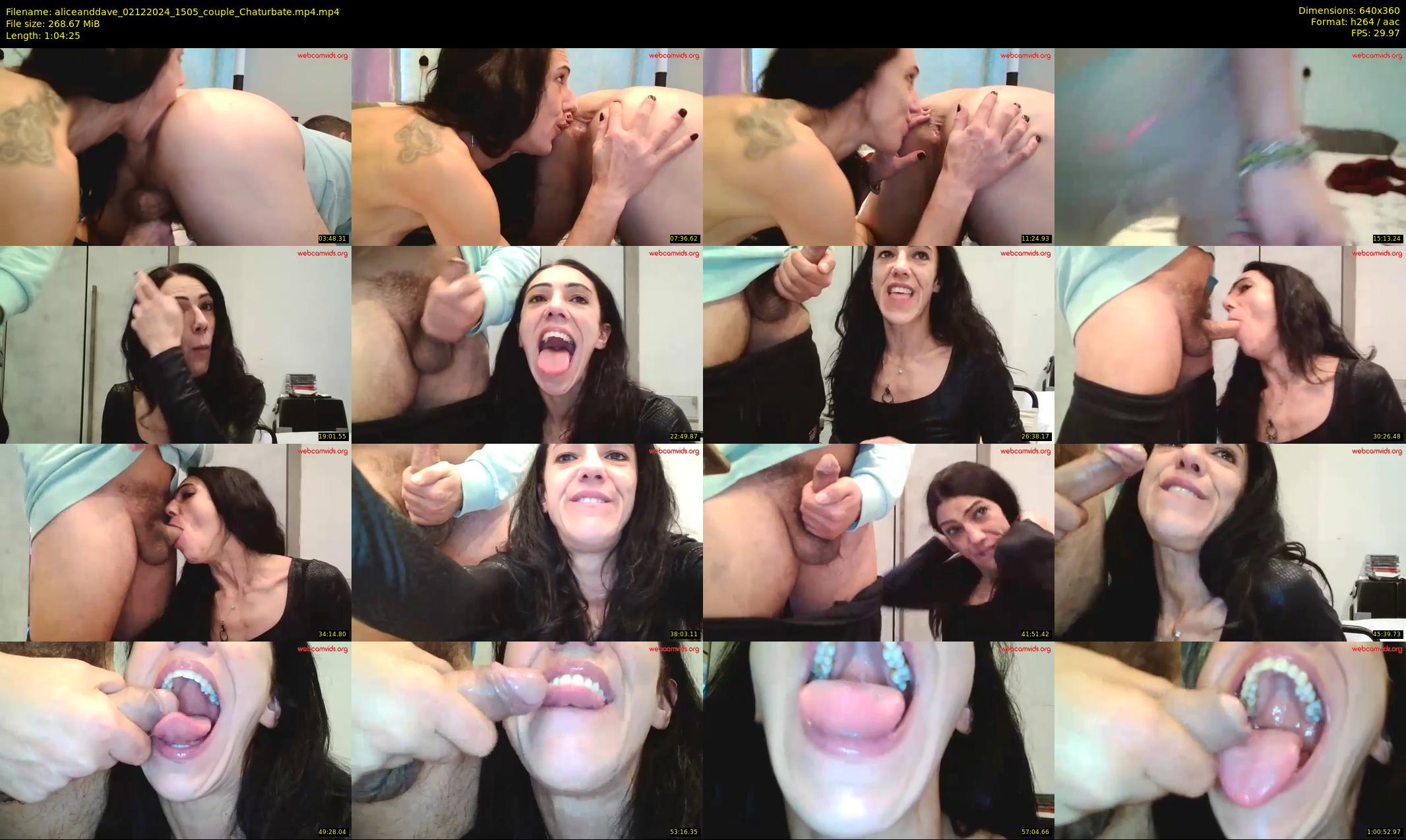 aliceanddave — 65 minute Chaturbate couple cam show recording, 360p, Dec 2, 2024