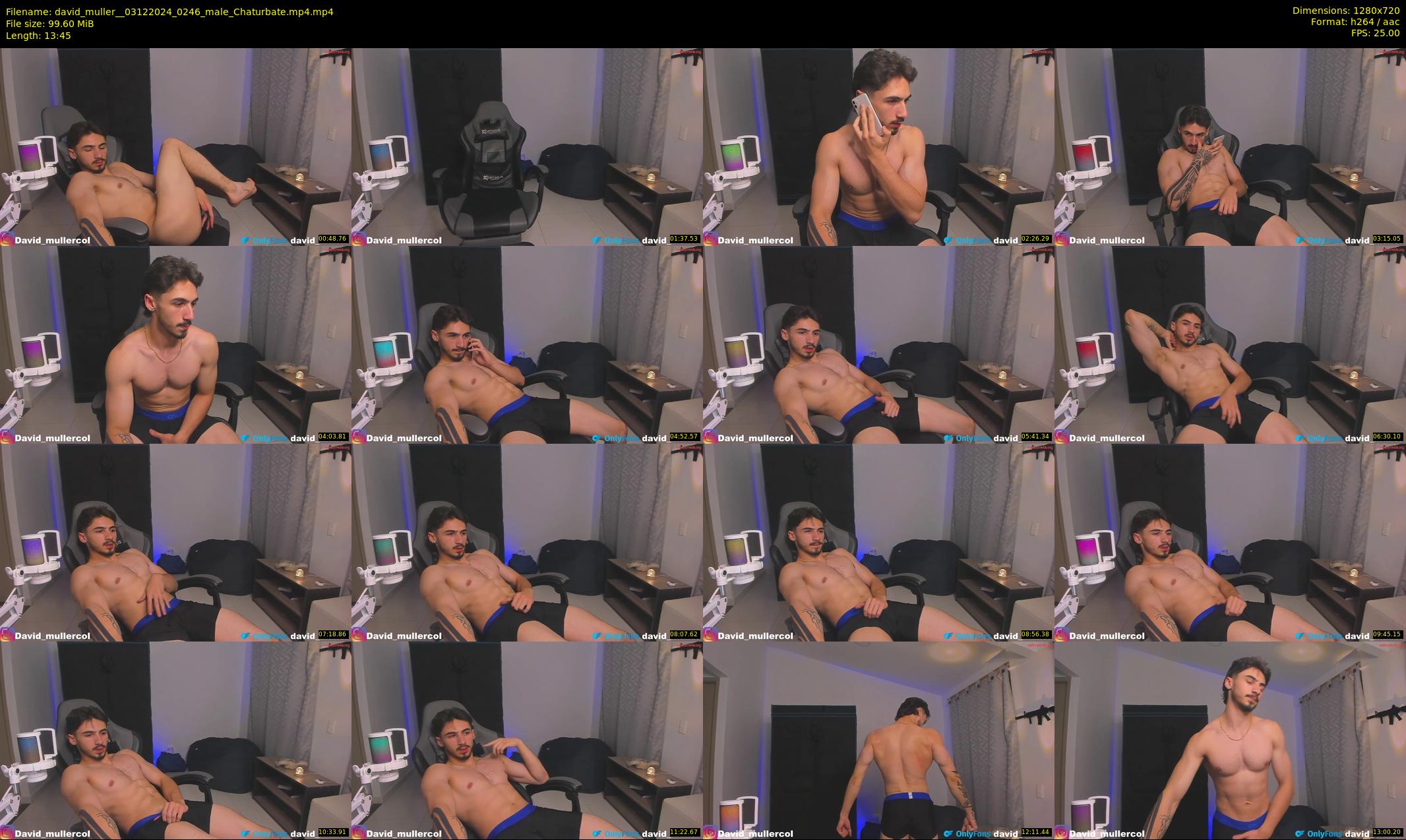 david_muller_ — 14 minute Chaturbate male cam show recording, 720p, Dec 3, 2024