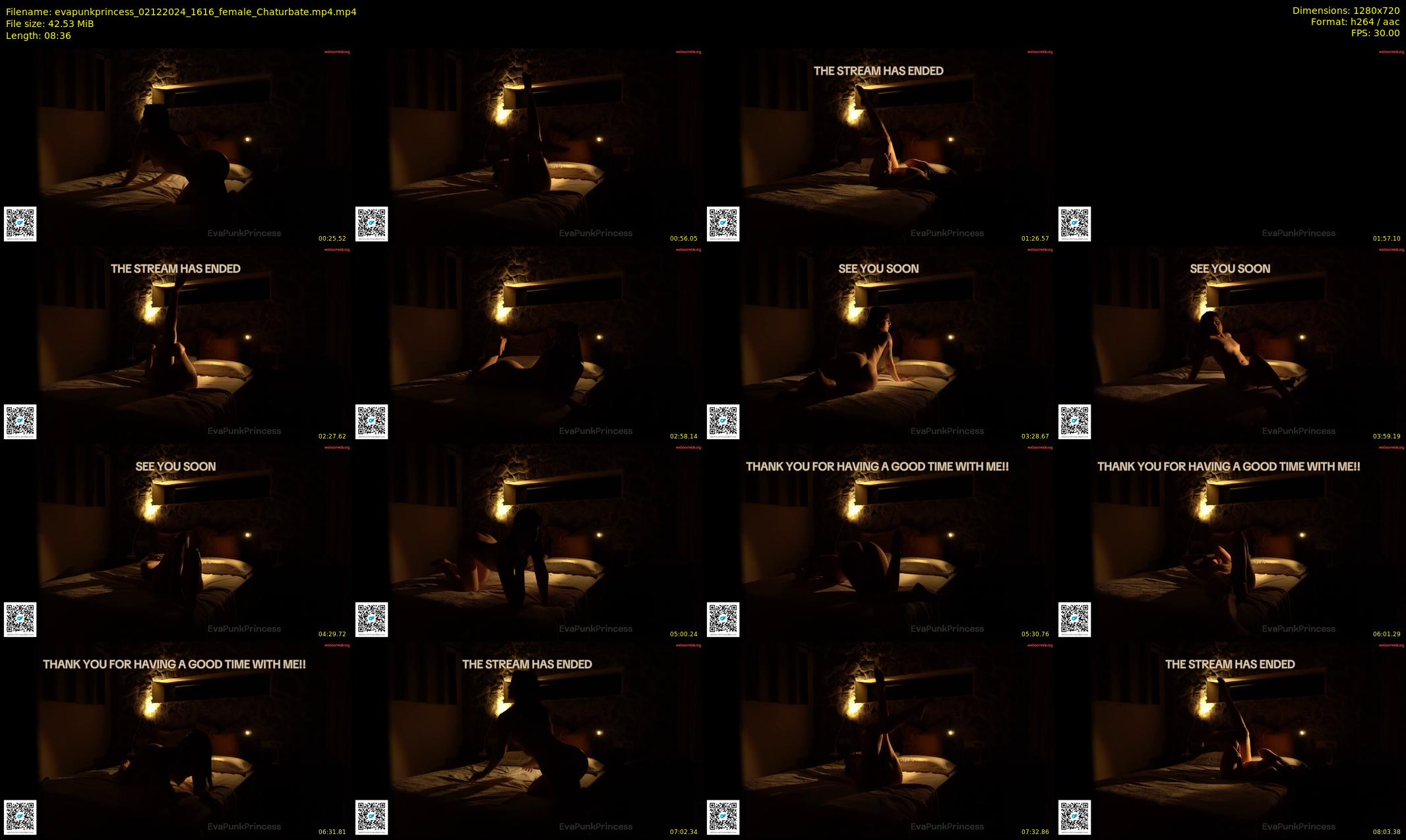 evapunkprincess — 9 minute Chaturbate female cam show recording, 720p, Dec 2, 2024