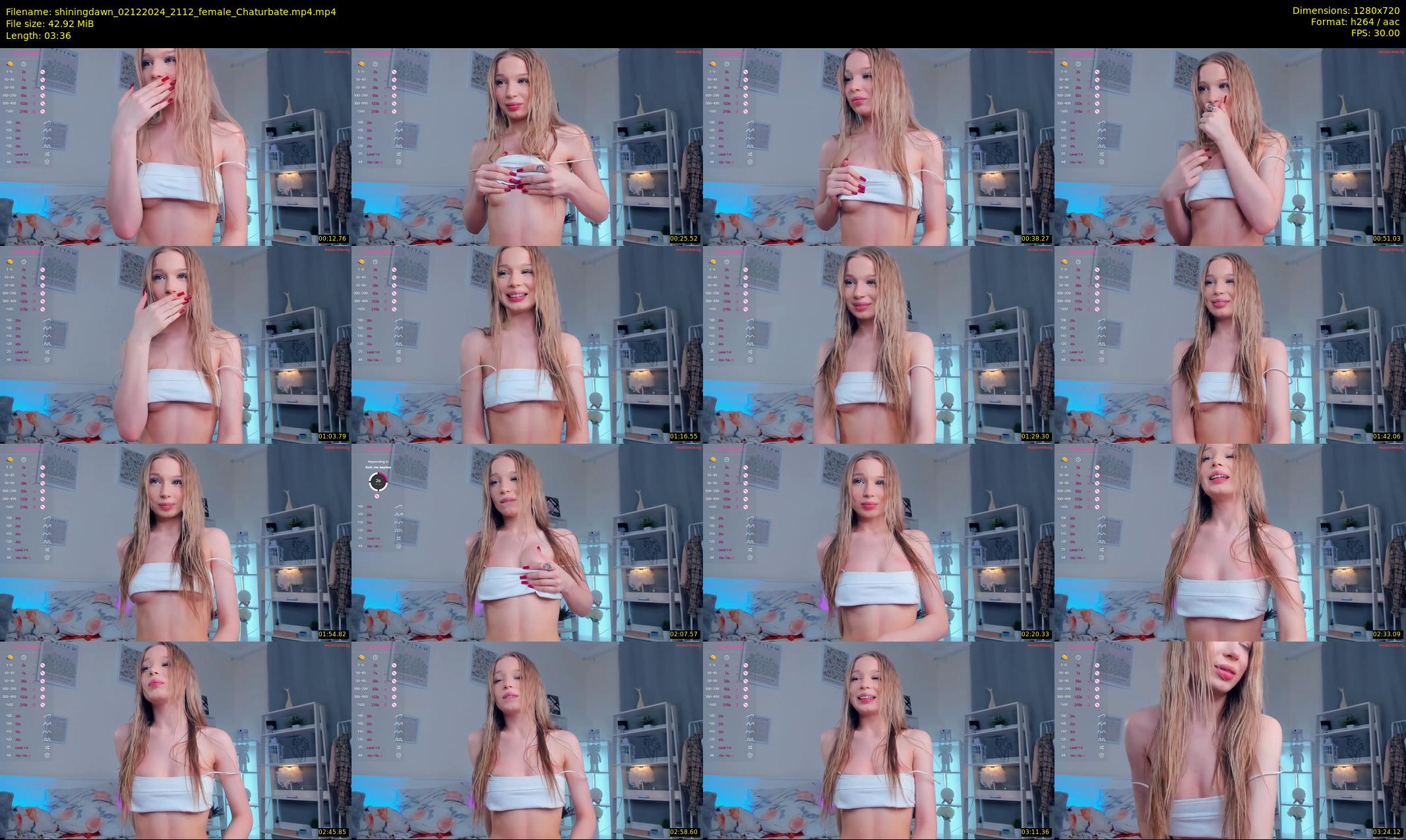 shiningdawn — 4 minute Chaturbate female cam show recording, 720p, Dec 2, 2024