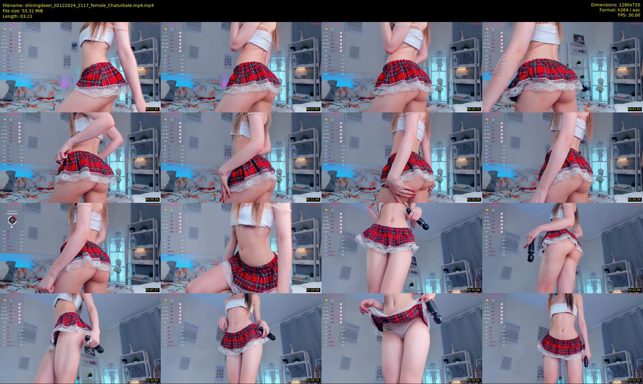 shiningdawn — 4 minute Chaturbate female cam show recording, 720p, Dec 2, 2024