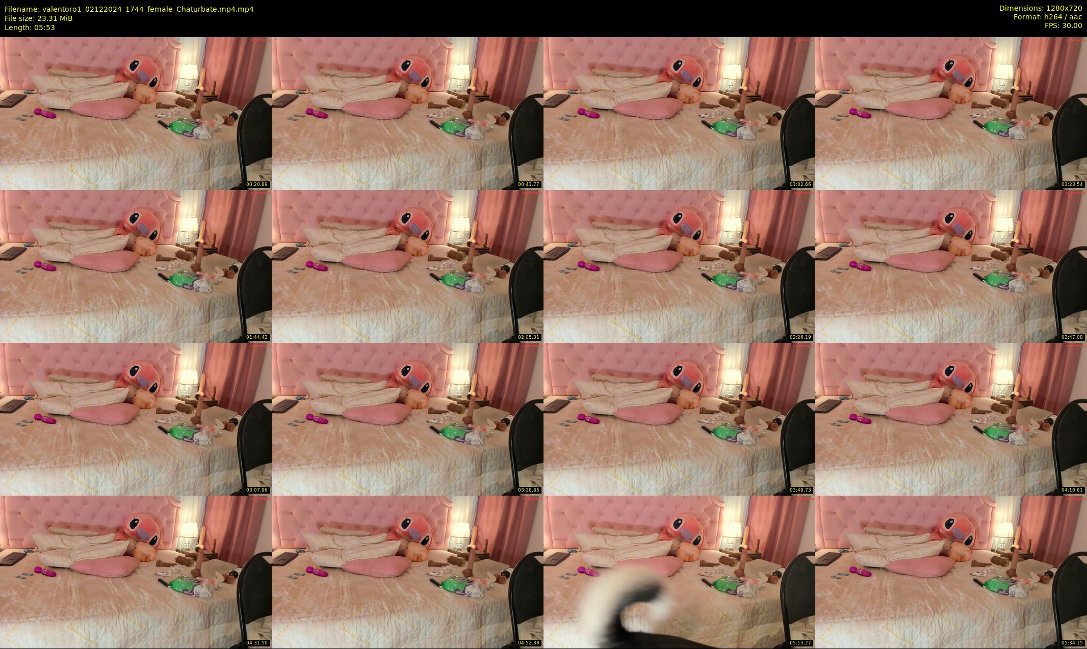 valentoro1 — 6 minute Chaturbate female cam show recording, 720p, Dec 2, 2024