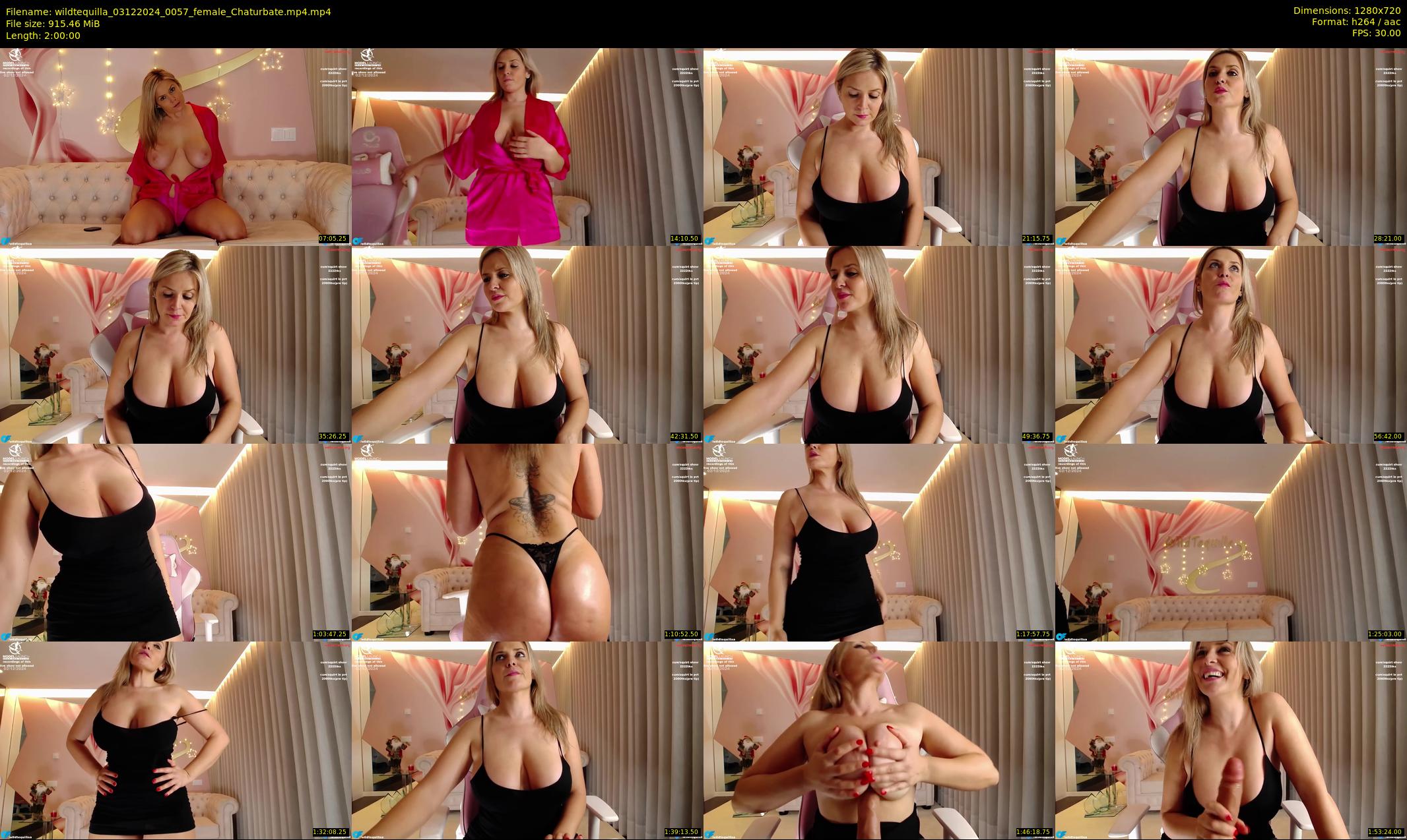 wildtequilla — 120 minute Chaturbate couple cam show recording, 720p, Dec 3, 2024