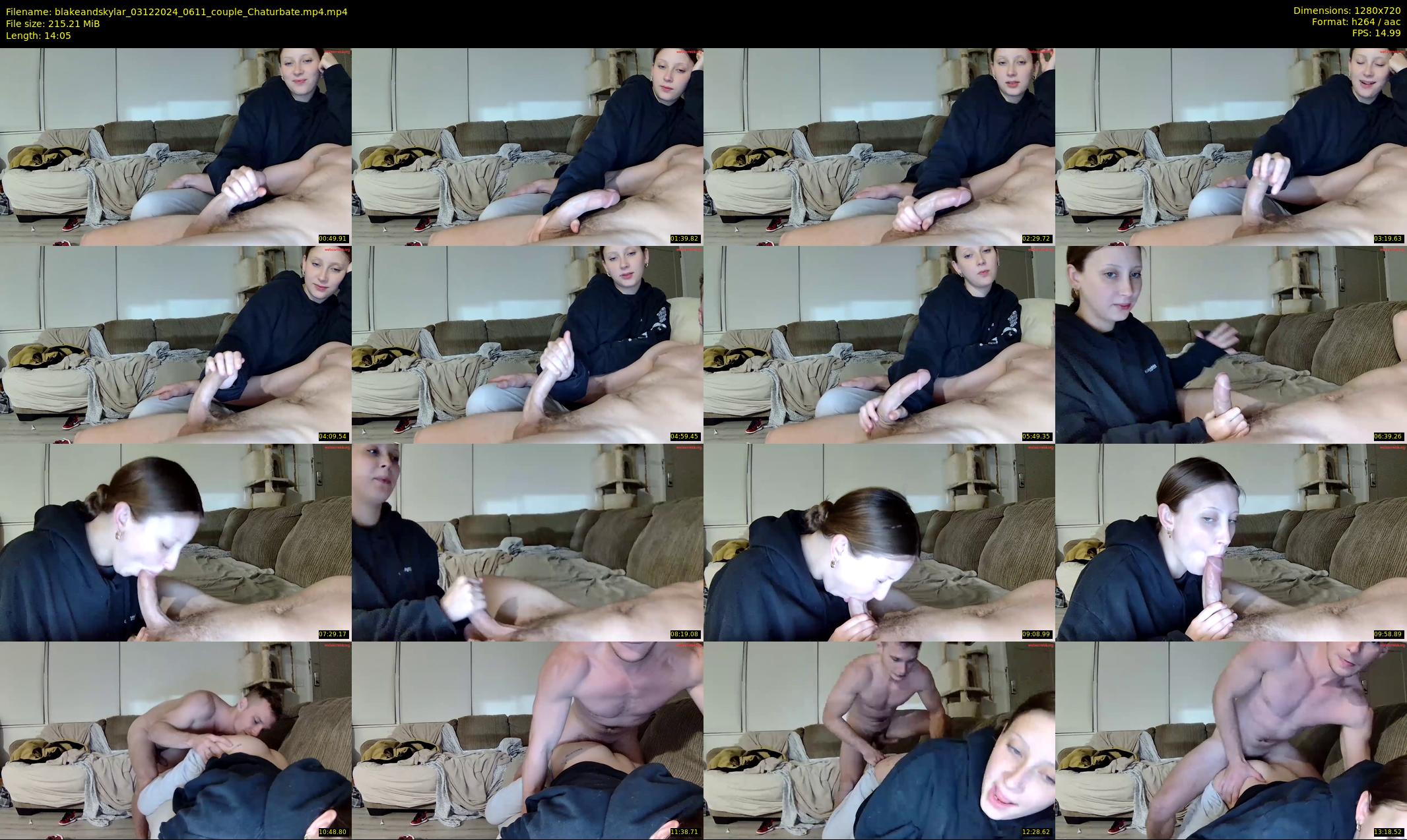 blakeandskylar — 15 minute Chaturbate couple cam show recording, 720p, Dec 3, 2024