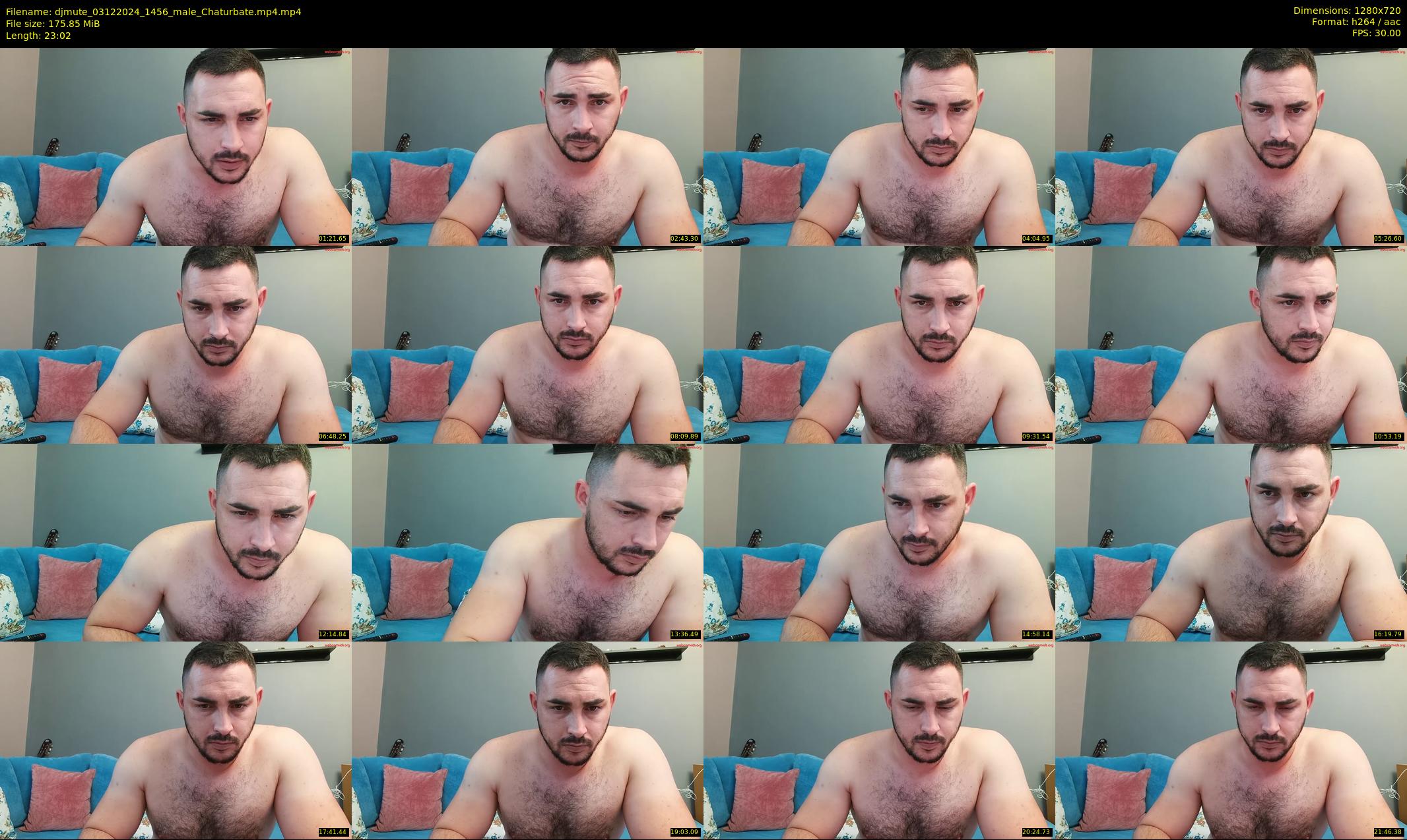 djmute — 24 minute Chaturbate male cam show recording, 720p, Dec 3, 2024