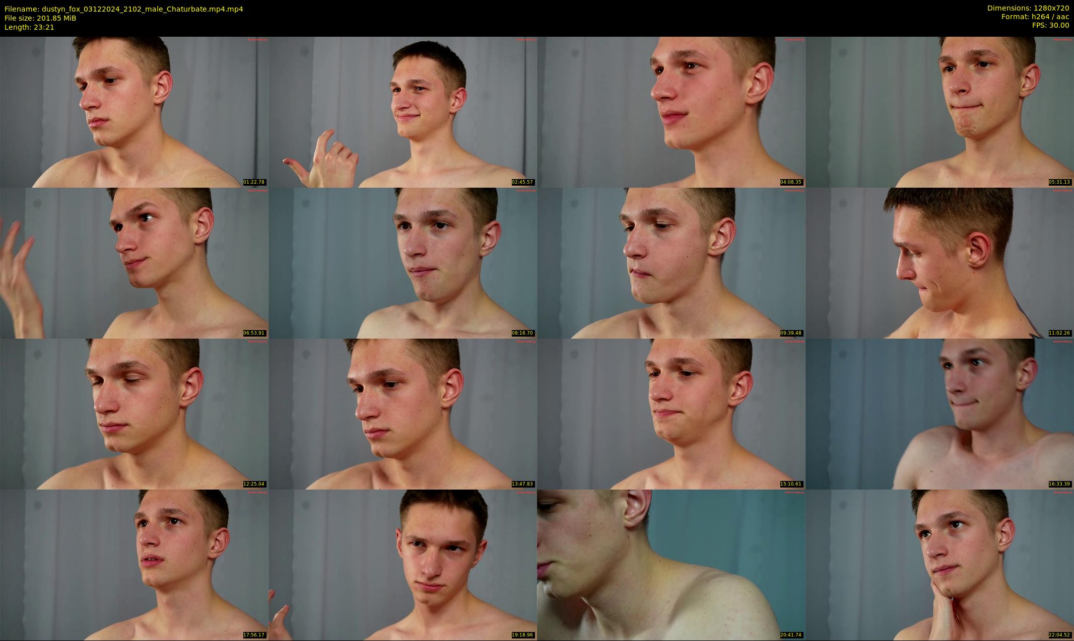 dustyn_fox — 24 minute Chaturbate male cam show recording, 720p, Dec 3, 2024