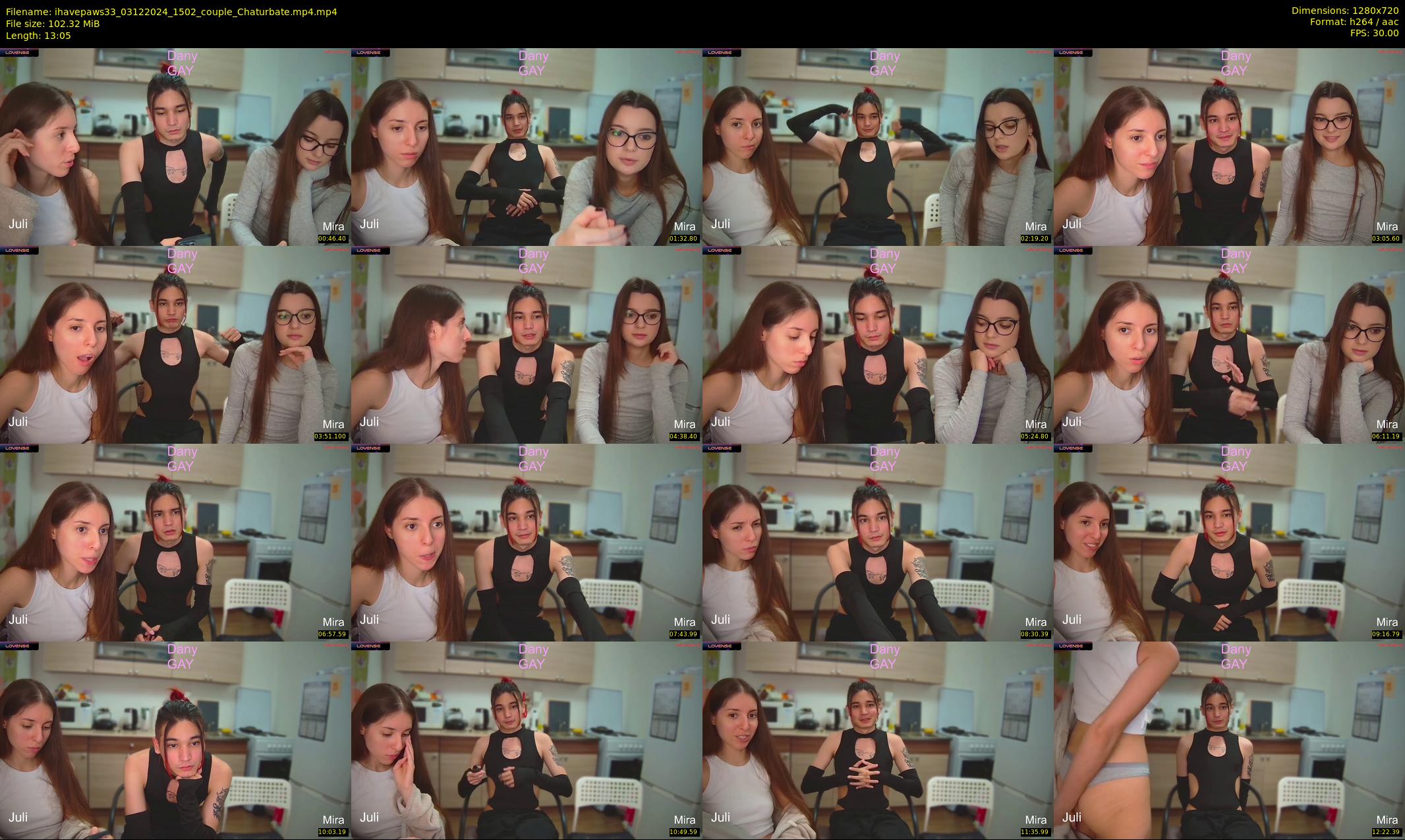 ihavepaws33 — 14 minute Chaturbate couple cam show recording, 720p, Dec 3, 2024