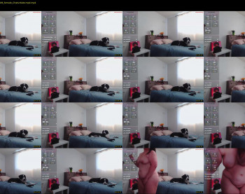 kittyymaze — 8 minute Chaturbate female cam show recording, 480p, Dec 3, 2024