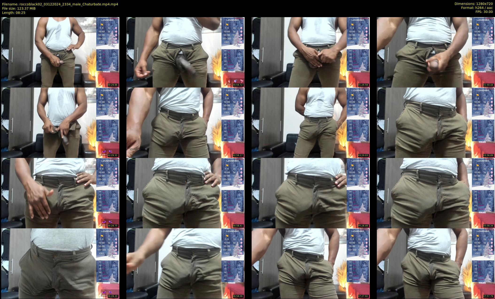 roccoblack02 — 9 minute Chaturbate male cam show recording, 720p, Dec 3, 2024