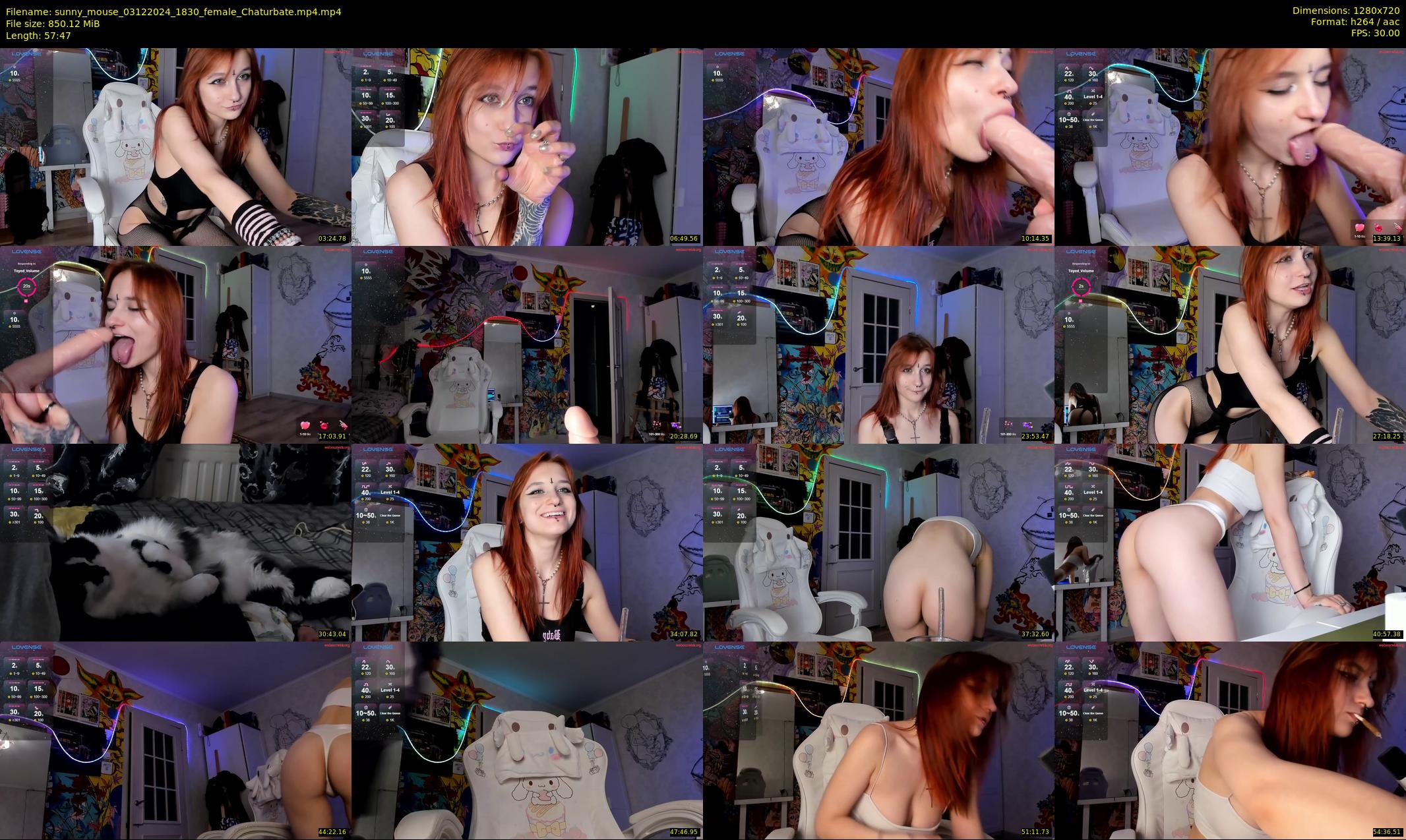 sunny_mouse — 58 minute Chaturbate female cam show recording, 720p, Dec 3, 2024