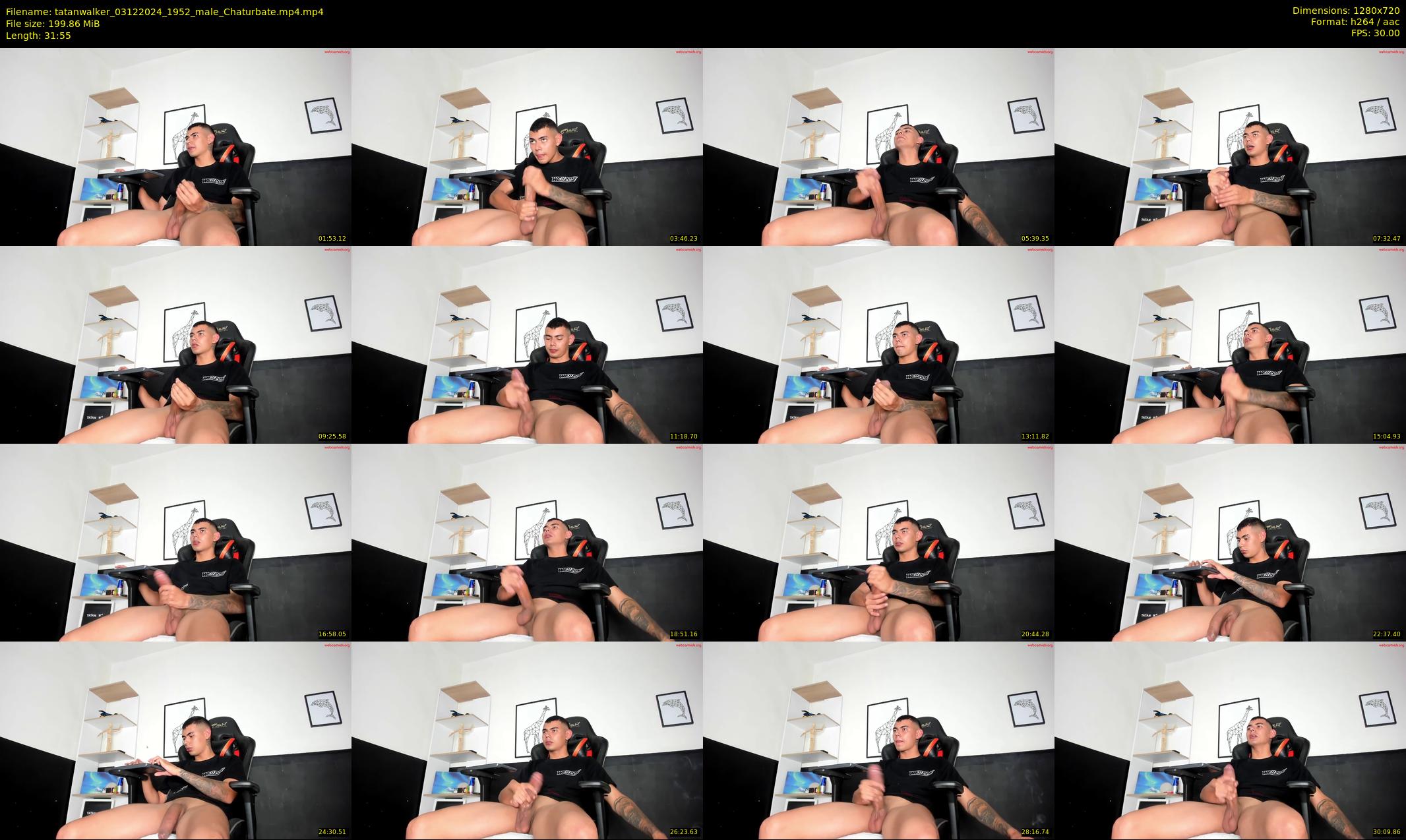 tatanwalker — 32 minute Chaturbate male cam show recording, 720p, Dec 3, 2024