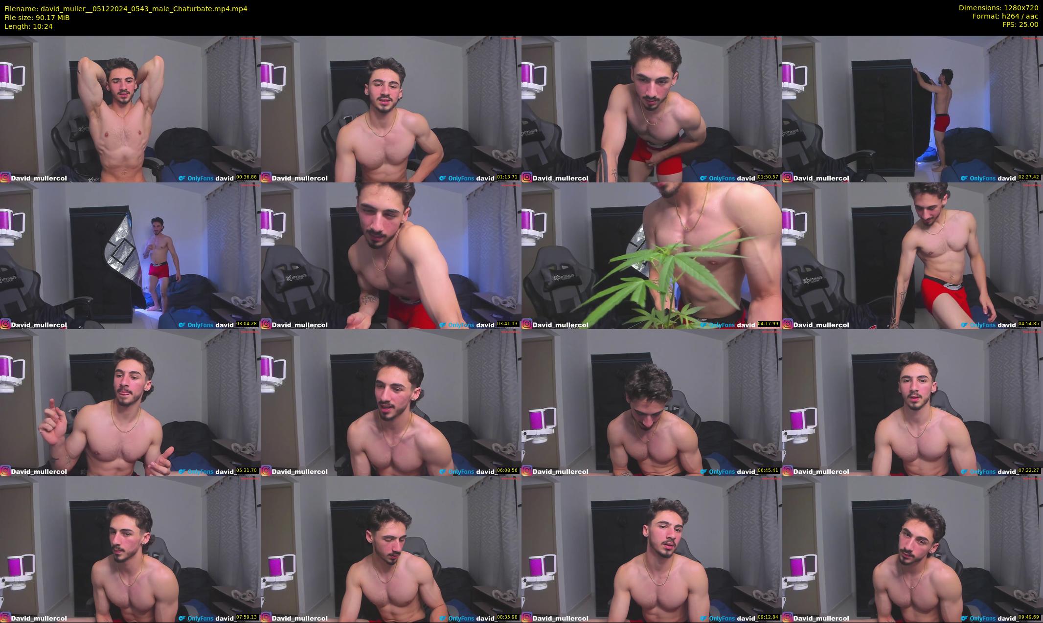 david_muller_ — 11 minute Chaturbate male cam show recording, 720p, Dec 5, 2024
