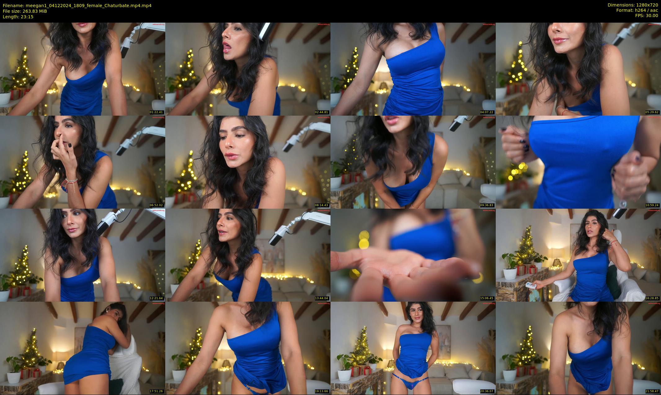 meegan1 — 24 minute Chaturbate female cam show recording, 720p, Dec 4, 2024