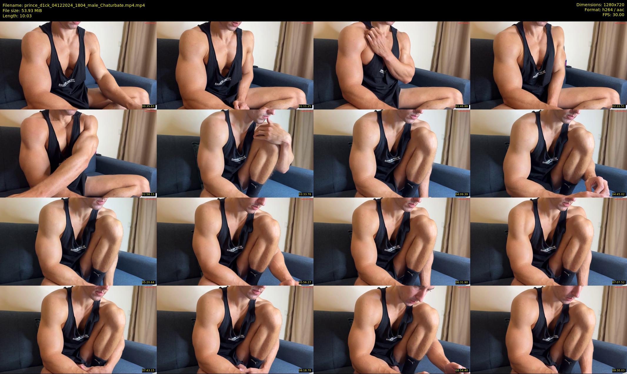 prince_d1ck — 11 minute Chaturbate male cam show recording, 720p, Dec 4, 2024
