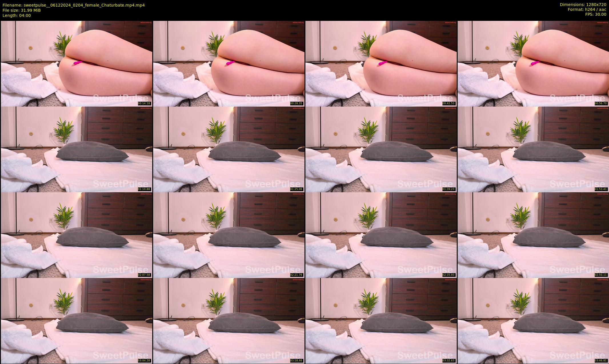 sweetpulse_ — 4 minute Chaturbate female cam show recording, 720p, Dec 6, 2024