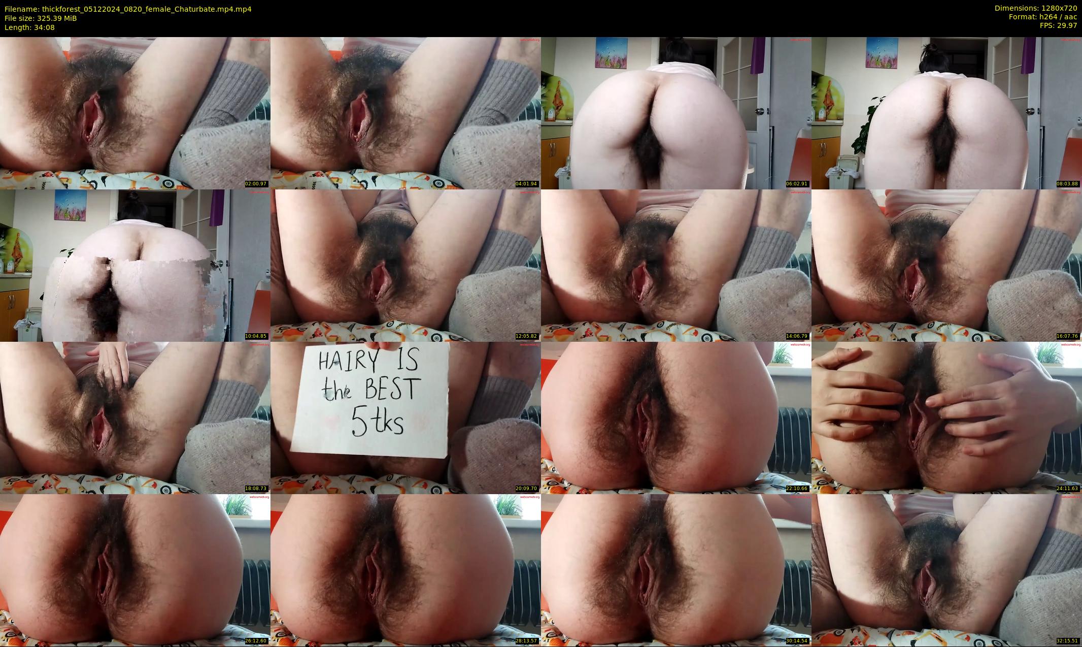 thickforest — 35 minute Chaturbate female cam show recording, 720p, Dec 5, 2024