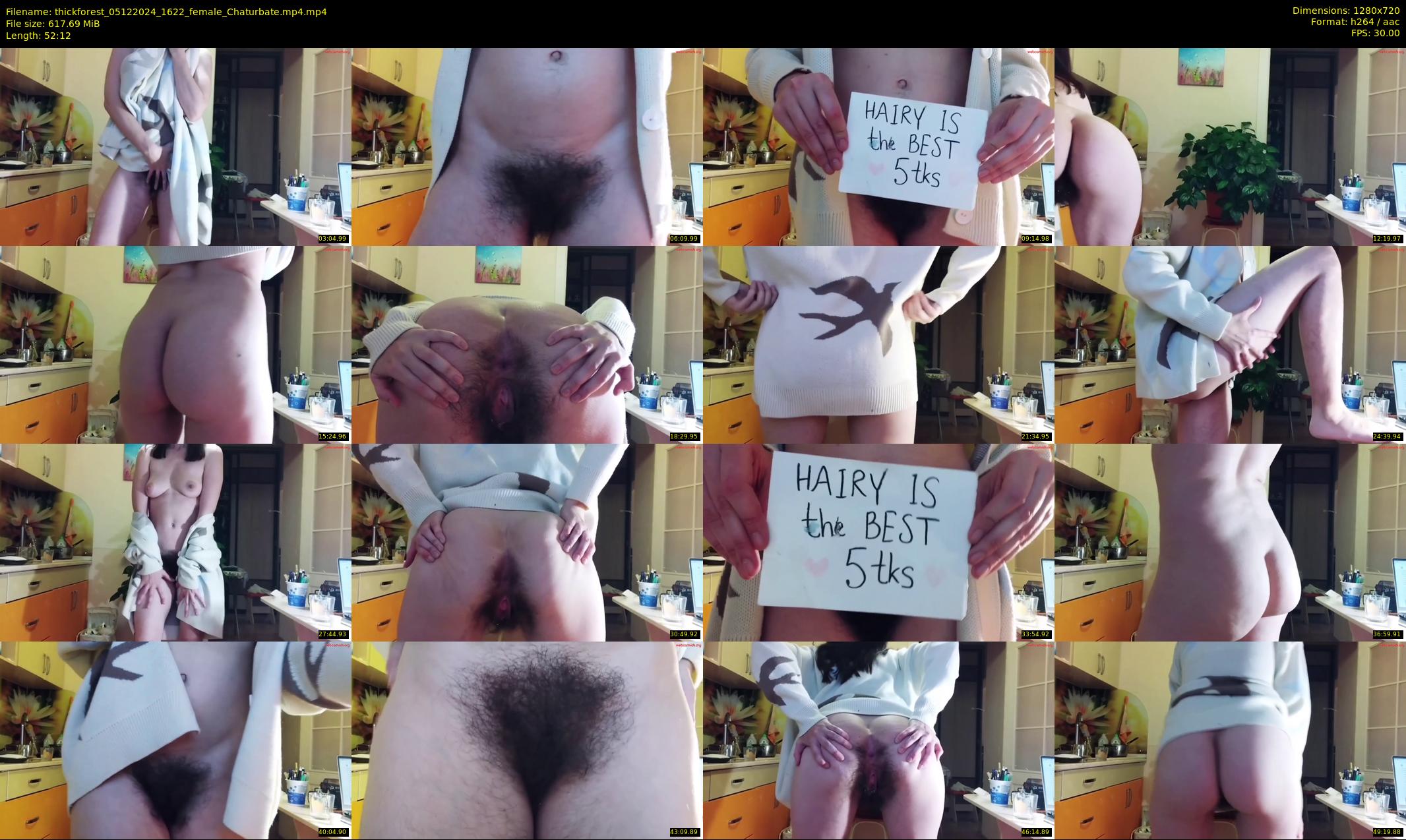 thickforest — 53 minute Chaturbate female cam show recording, 720p, Dec 5, 2024