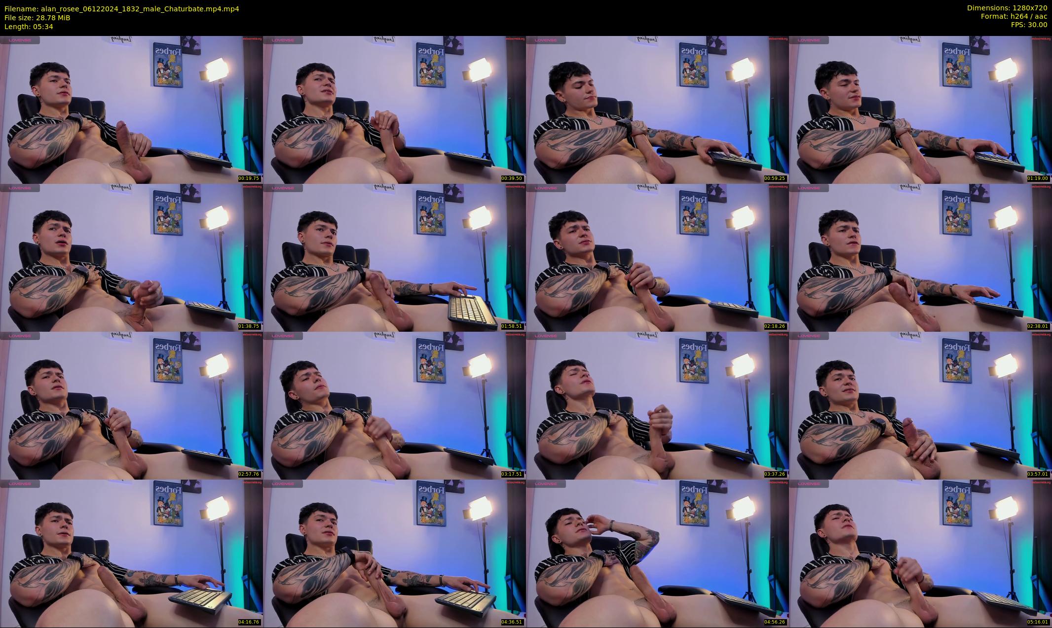 alan_rosee — 6 minute Chaturbate male cam show recording, 720p, Dec 6, 2024