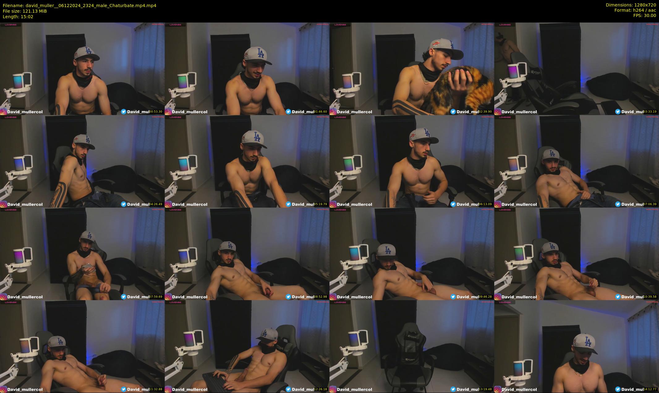 david_muller_ — 16 minute Chaturbate male cam show recording, 720p, Dec 6, 2024
