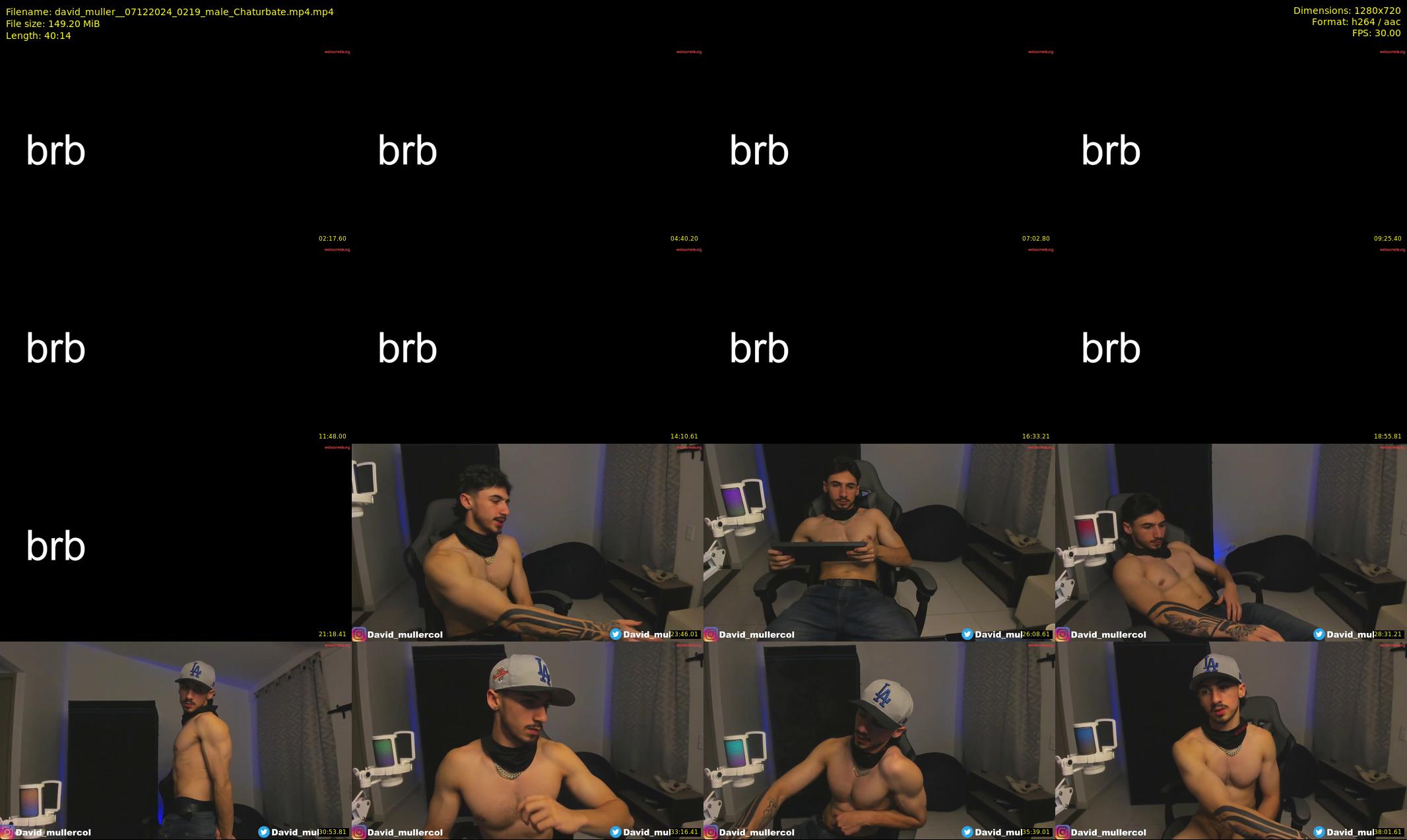 david_muller_ — 41 minute Chaturbate male cam show recording, 720p, Dec 7, 2024