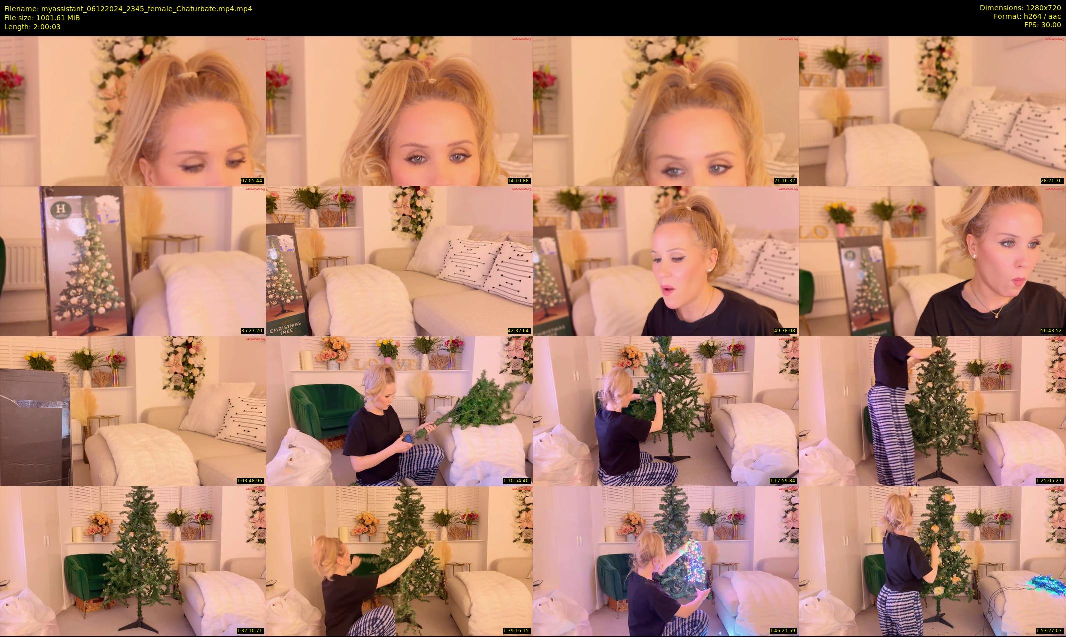 myassistant — 121 minute Chaturbate female cam show recording, 720p, Dec 6, 2024