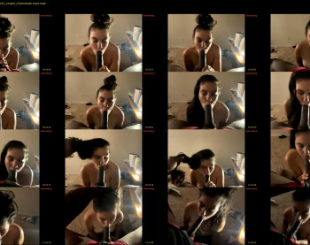 shatnerded — 16 minute Chaturbate couple cam show recording, 480p, Dec 7, 2024