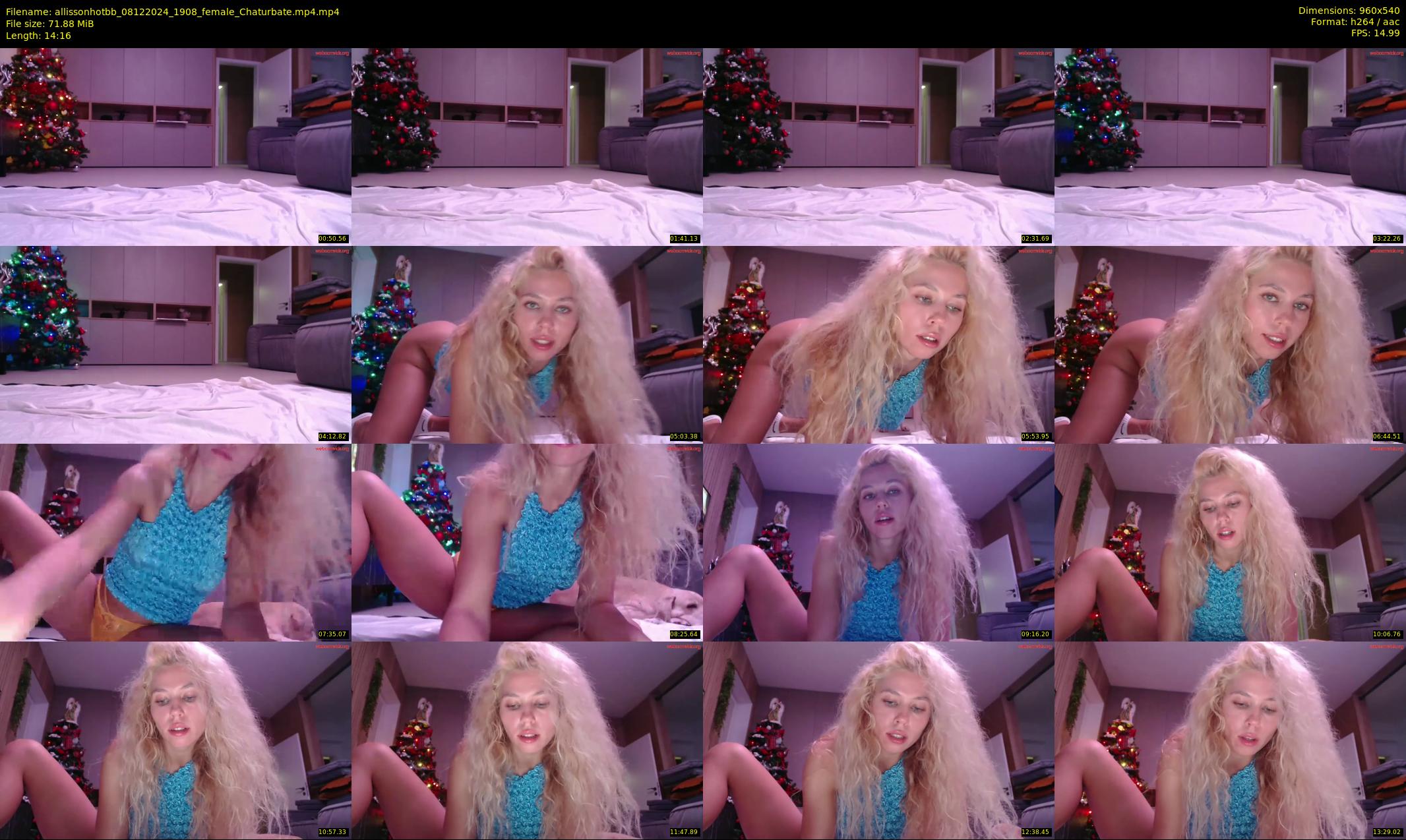 allissonhotbb — 15 minute Chaturbate female cam show recording, 480p, Dec 8, 2024