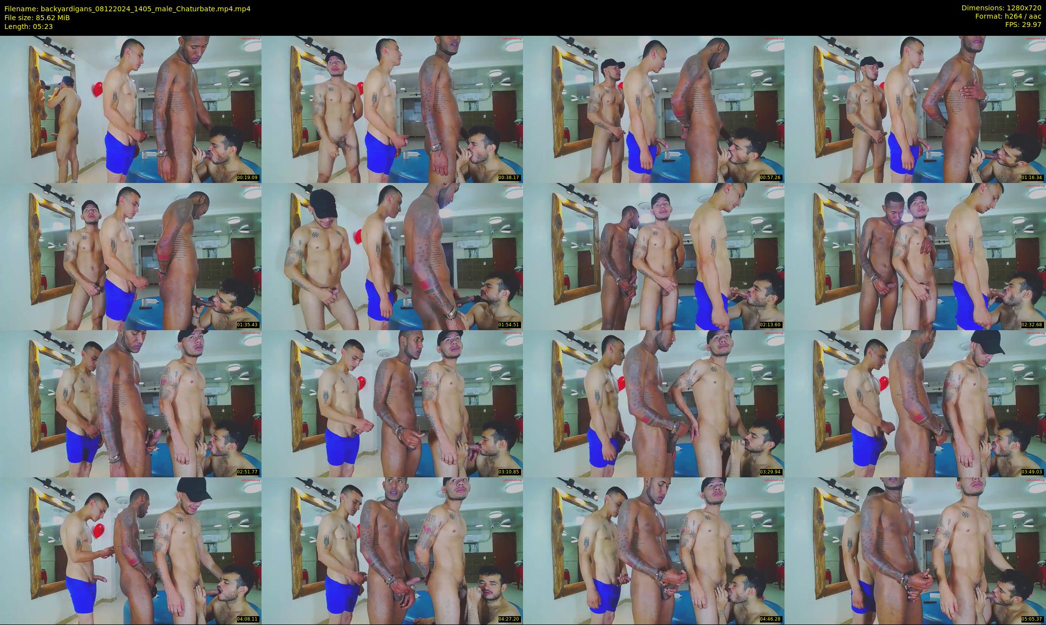 backyardigans — 6 minute Chaturbate male cam show recording, 720p, Dec 8, 2024