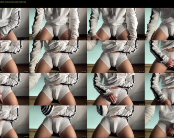 bestdick1991 — 14 minute Chaturbate male cam show recording, 720p, Dec 8, 2024