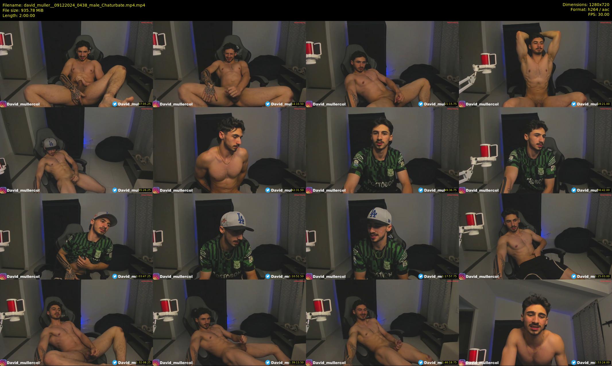 david_muller_ — 120 minute Chaturbate male cam show recording, 720p, Dec 9, 2024