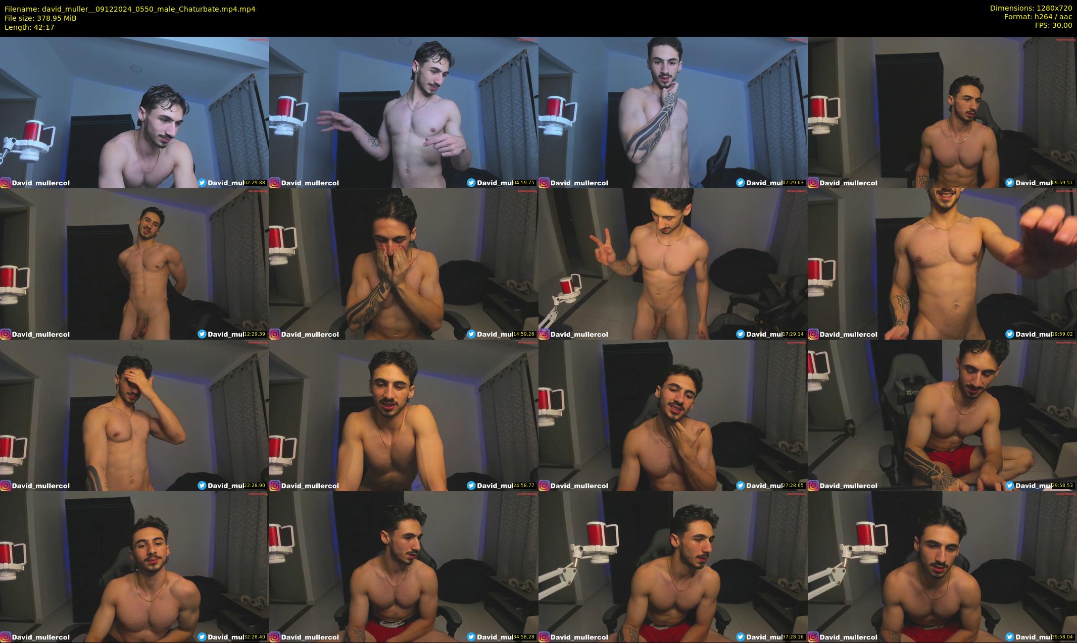david_muller_ — 43 minute Chaturbate male cam show recording, 720p, Dec 9, 2024