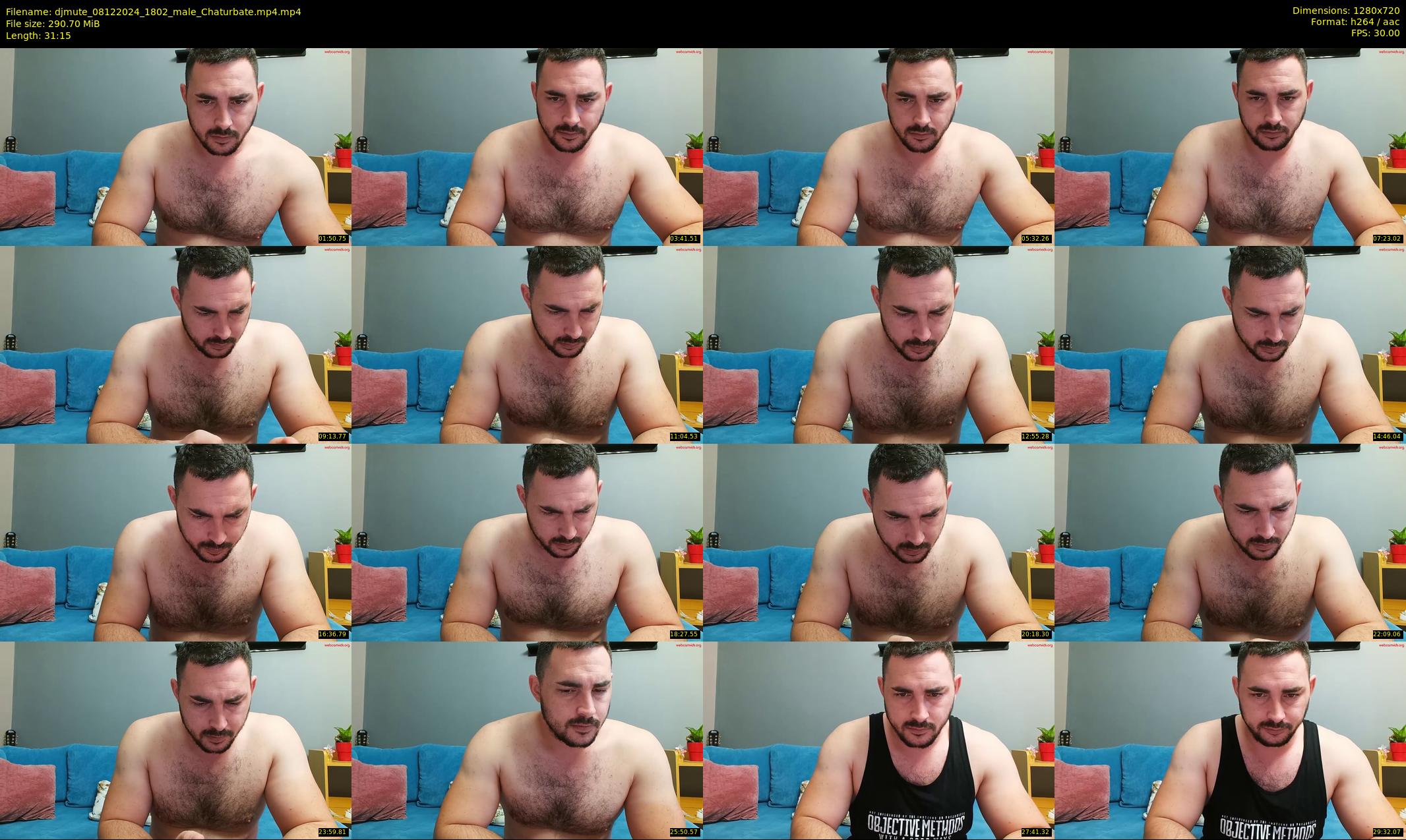 djmute — 32 minute Chaturbate male cam show recording, 720p, Dec 8, 2024