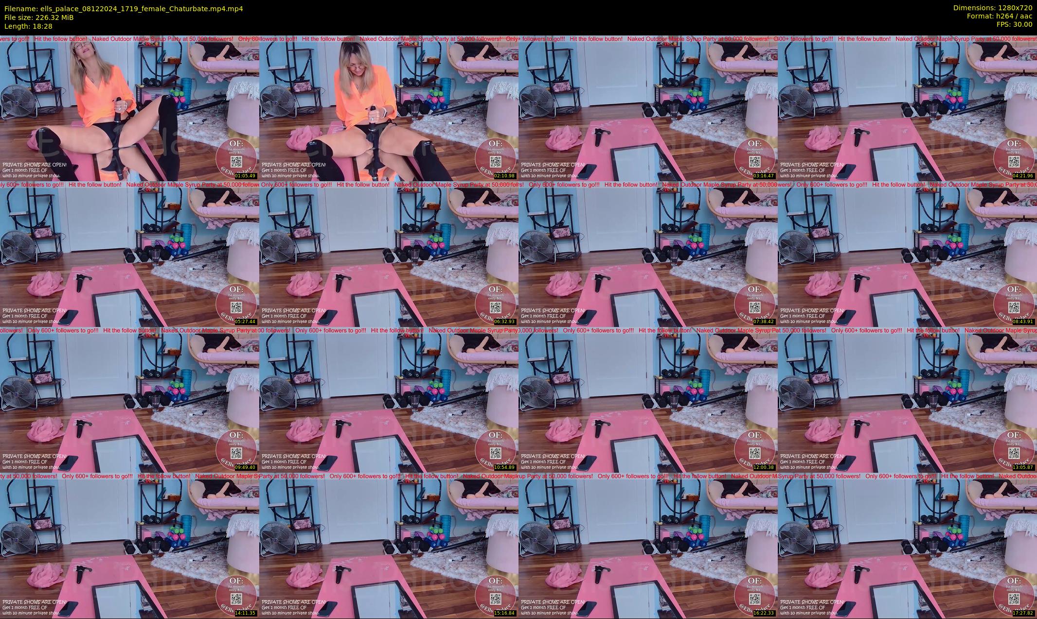 ells_palace — 19 minute Chaturbate female cam show recording, 720p, Dec 8, 2024
