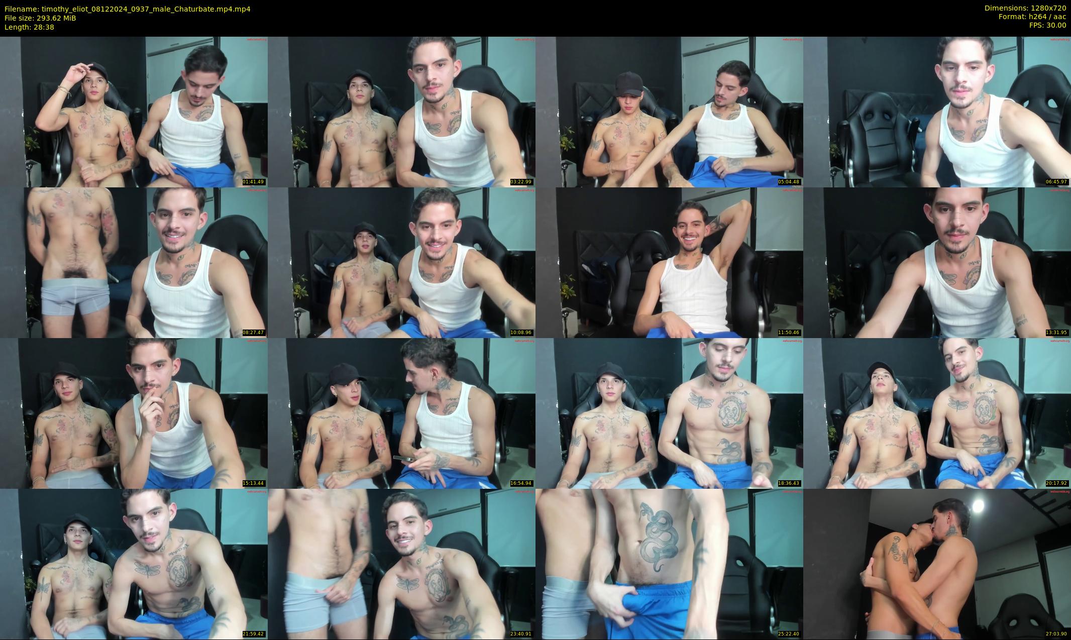 timothy_eliot — 29 minute Chaturbate male cam show recording, 720p, Dec 8, 2024
