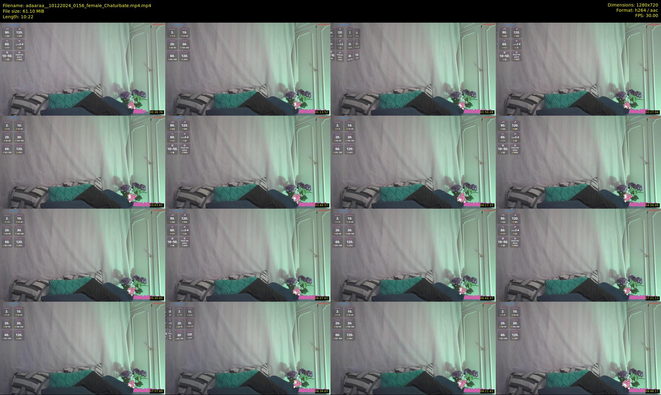 adaaraa_ — 11 minute Chaturbate female cam show recording, 720p, Dec 10, 2024