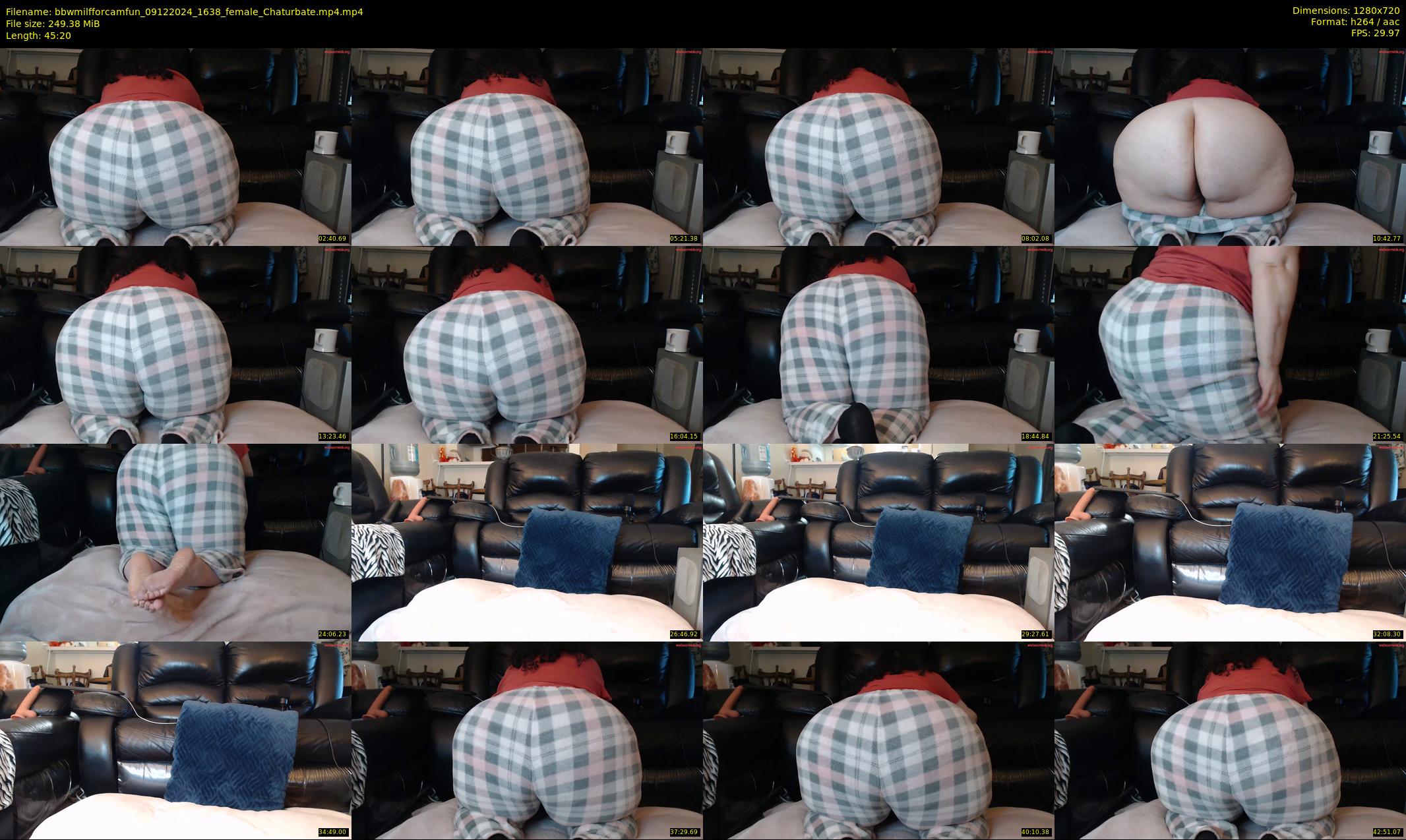 bbwmilfforcamfun — 46 minute Chaturbate female cam show recording, 720p, Dec 9, 2024