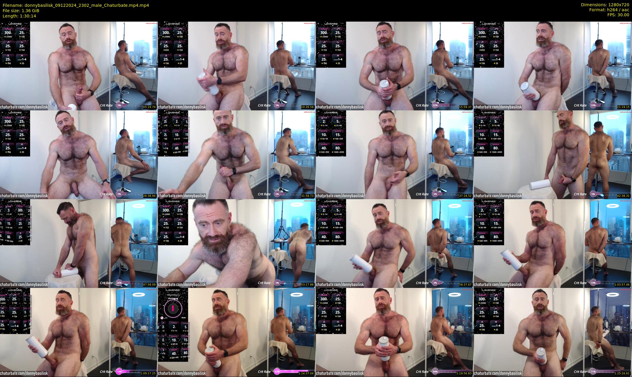 donnybasilisk — 91 minute Chaturbate male cam show recording, 720p, Dec 9, 2024